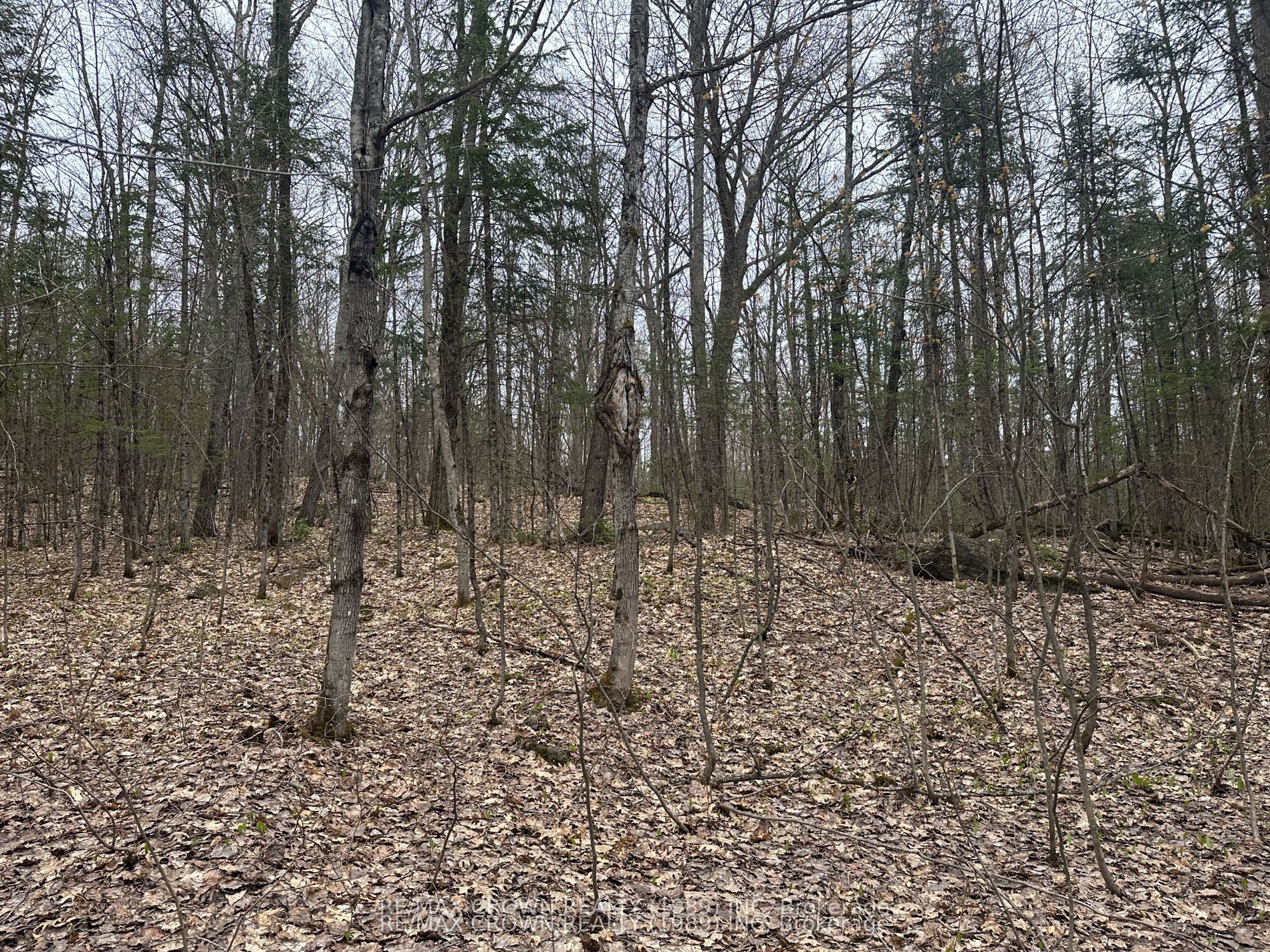 PART LOT 14 CONCESSION 7 N/A, McMurrich/Monteith, ON P0A 1Y0 photo 5
