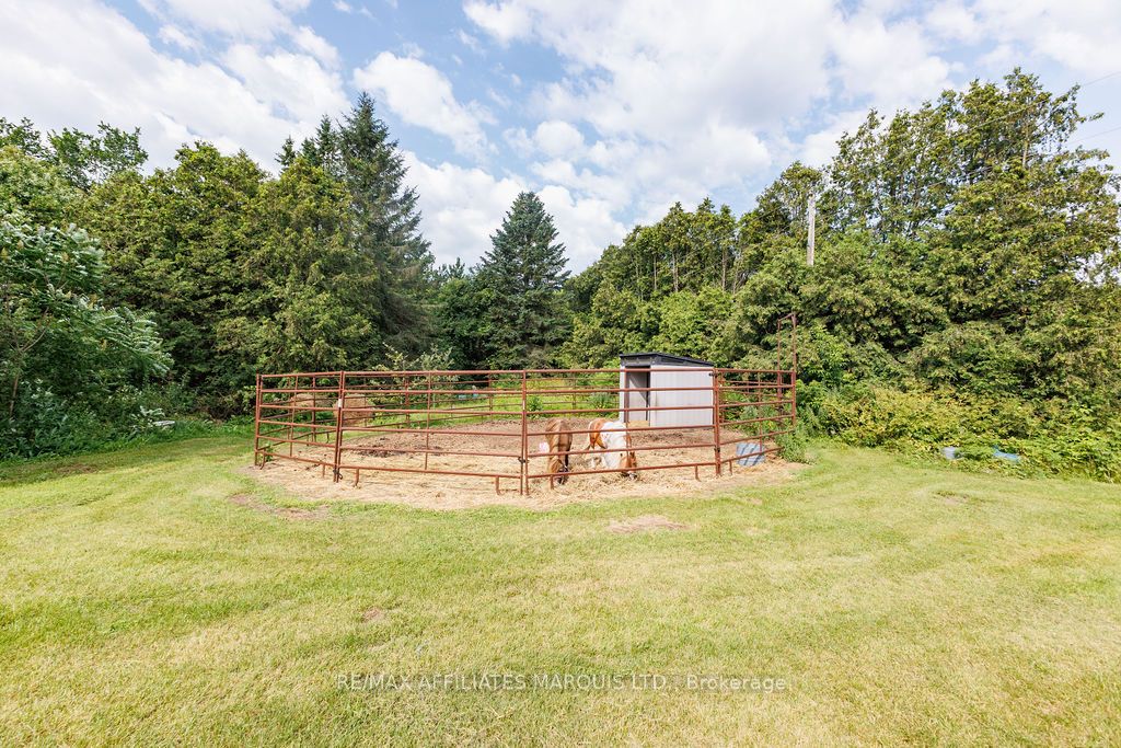 21111 Concession 8 Road, South Glengarry, ON K0C 1L0 photo 4