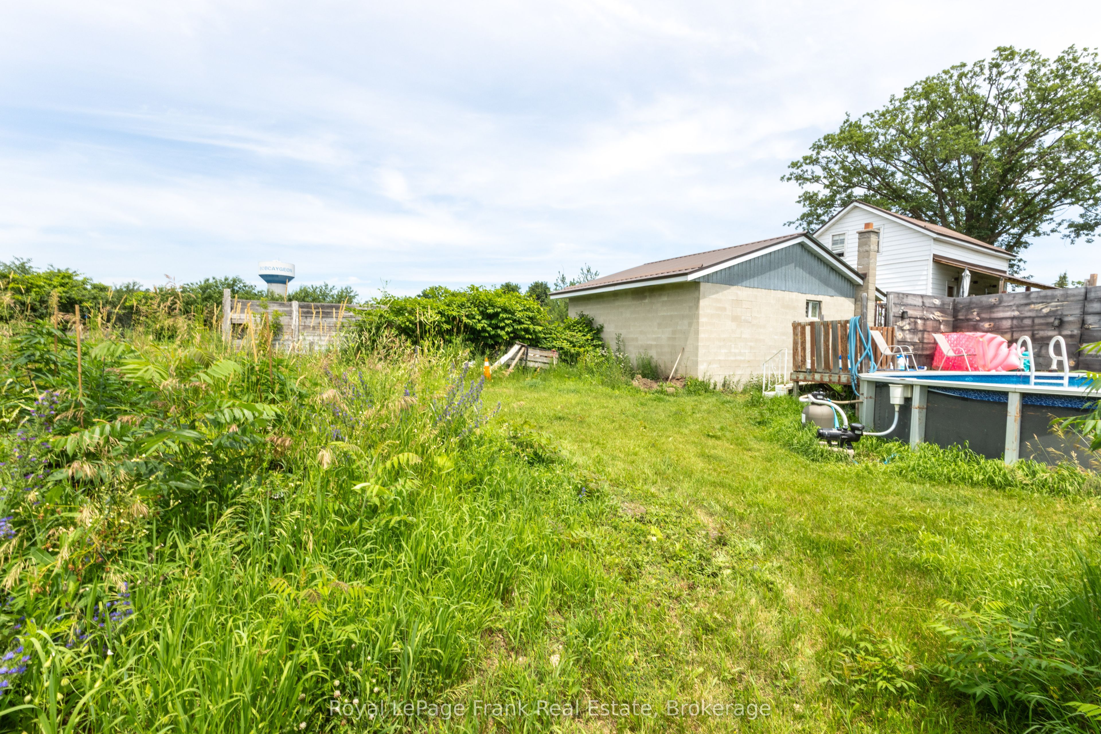 66 Jane Street, Kawartha Lakes, ON K0M 1A0 photo 5