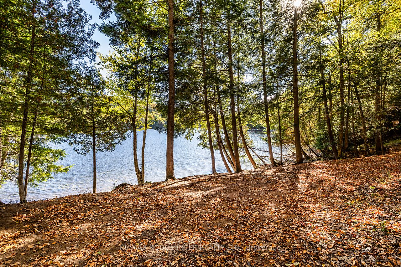 0 Thompson Portage Road, Lake of Bays, ON P0A 1H0