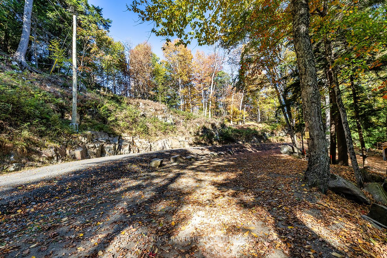 0 Thompson Portage Road, Lake of Bays, ON P0A 1H0 photo 2