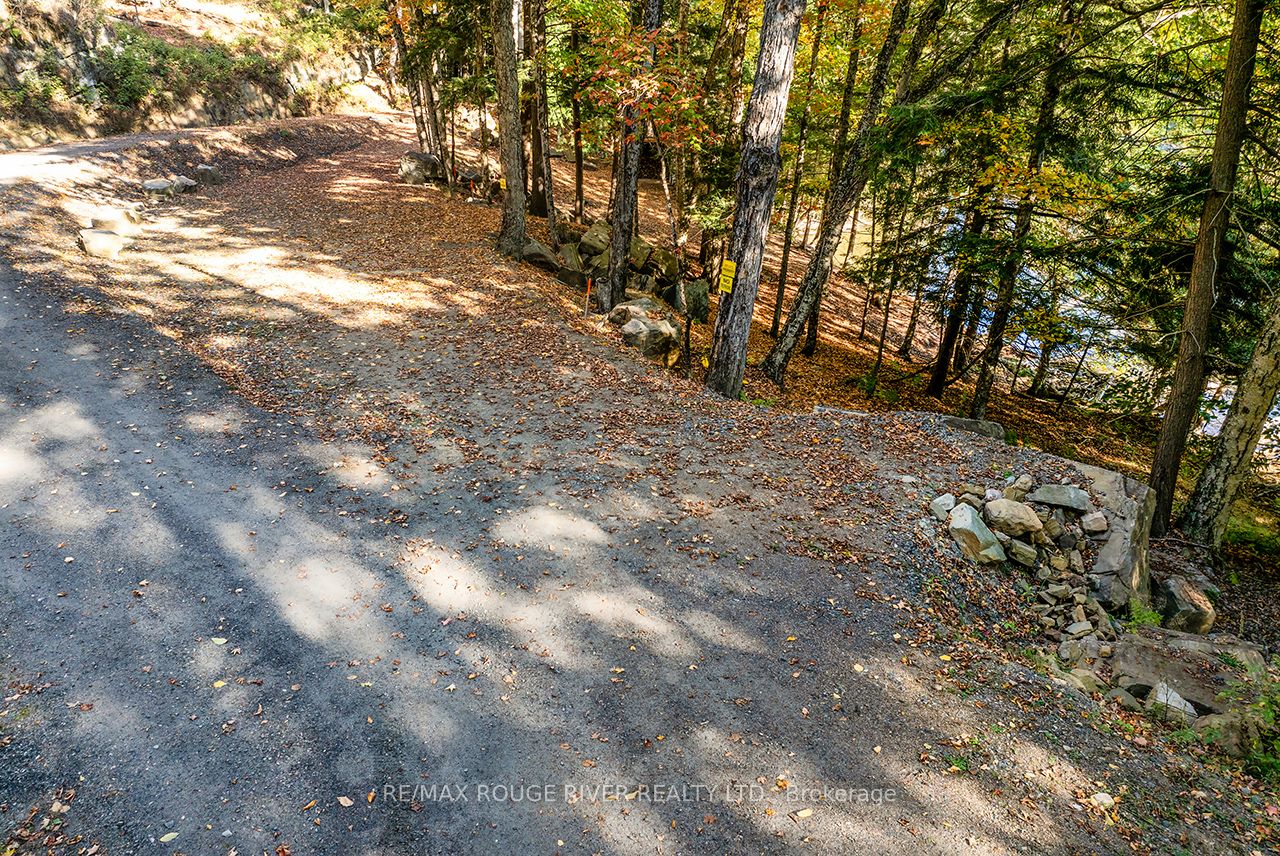 0 Thompson Portage Road, Lake of Bays, ON P0A 1H0 photo 5