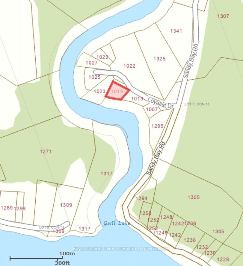 1019 Loyalist Drive, Minden Hills, ON K0M 2K0 photo 3