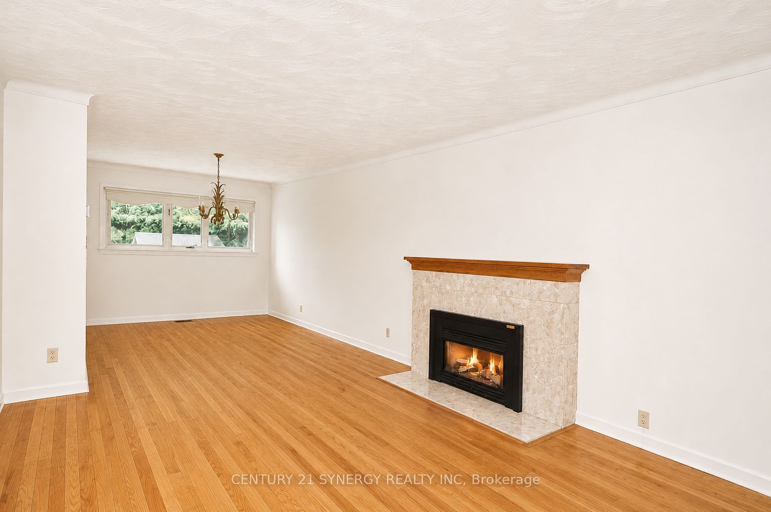 2148 Iris Street, Belair Park - Copeland Park and Area, ON K2C 1B3 photo 4