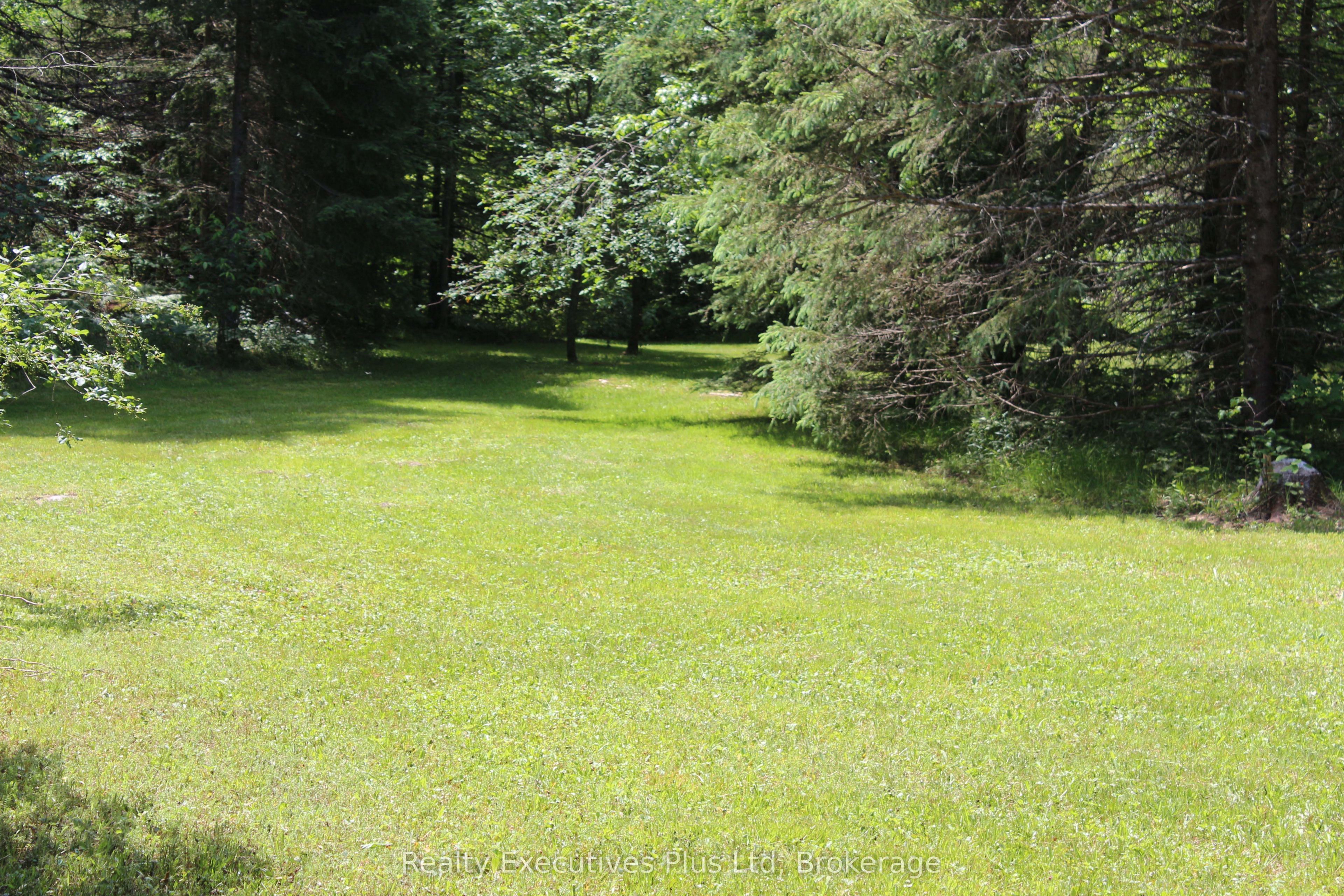 1988 Royston Road, Ryerson, ON P0A 1C0 photo 4