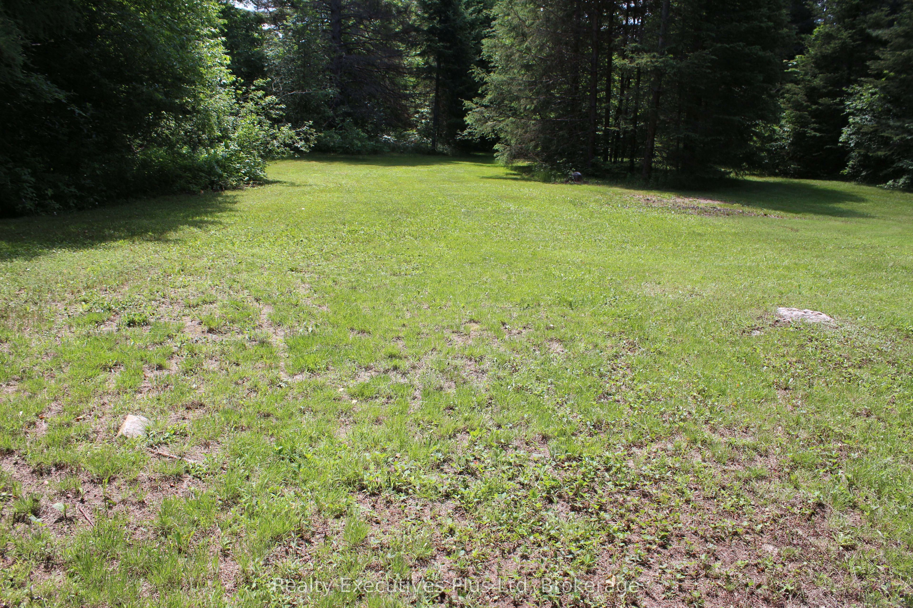 1988 Royston Road, Ryerson, ON P0A 1C0 photo 5