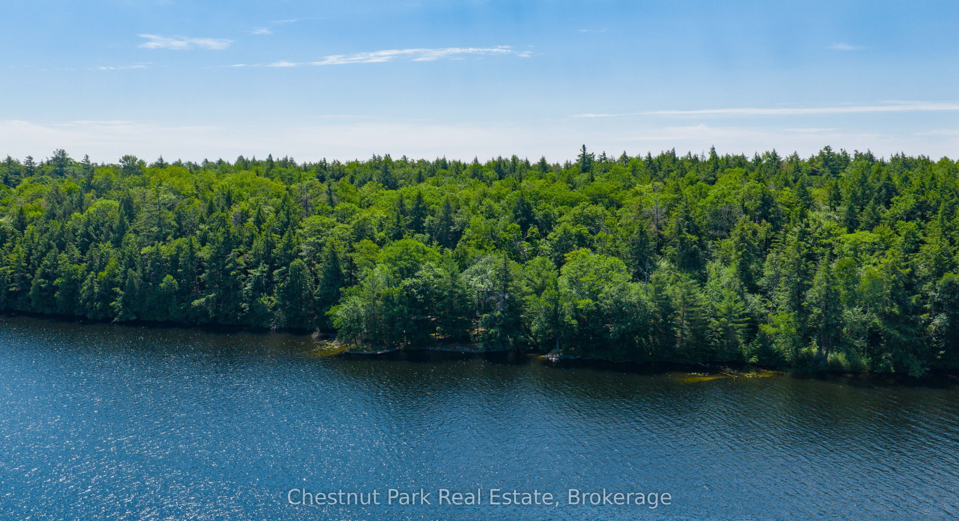 38 & 40 South Crane Lake Road, The Archipelago, ON P2A 0B7 photo 2