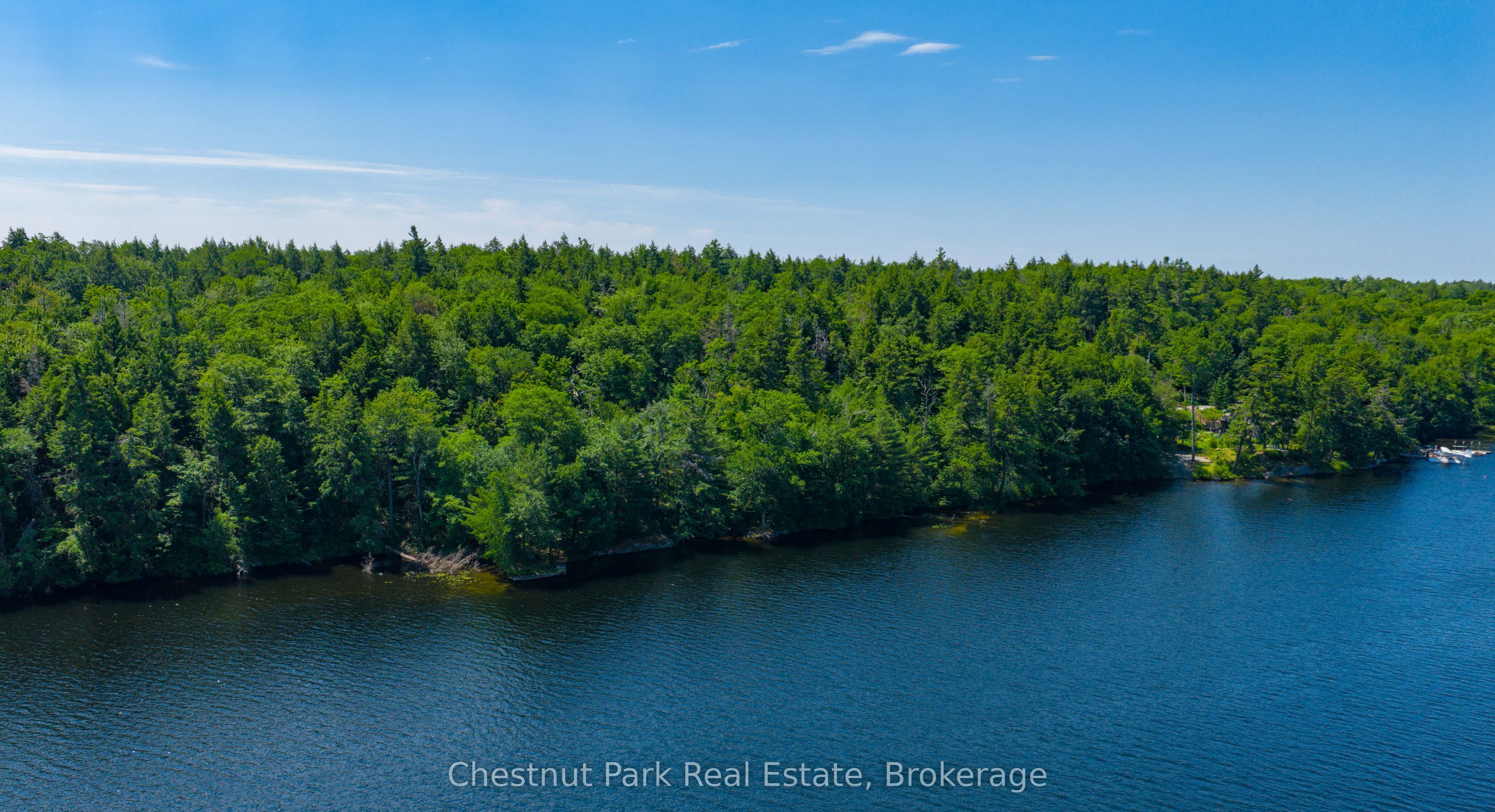 40 South Crane Lake Road, The Archipelago, ON P2A 0B7 photo 3