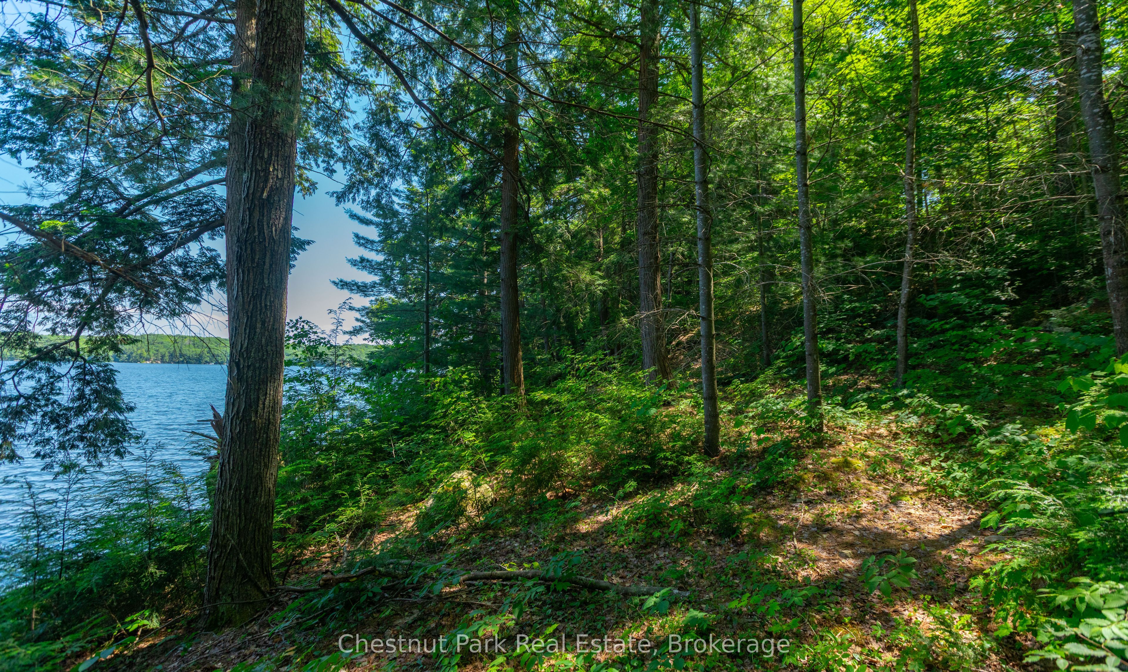 38 South Crane Lake Road, The Archipelago, ON P2A 0B7 photo 5