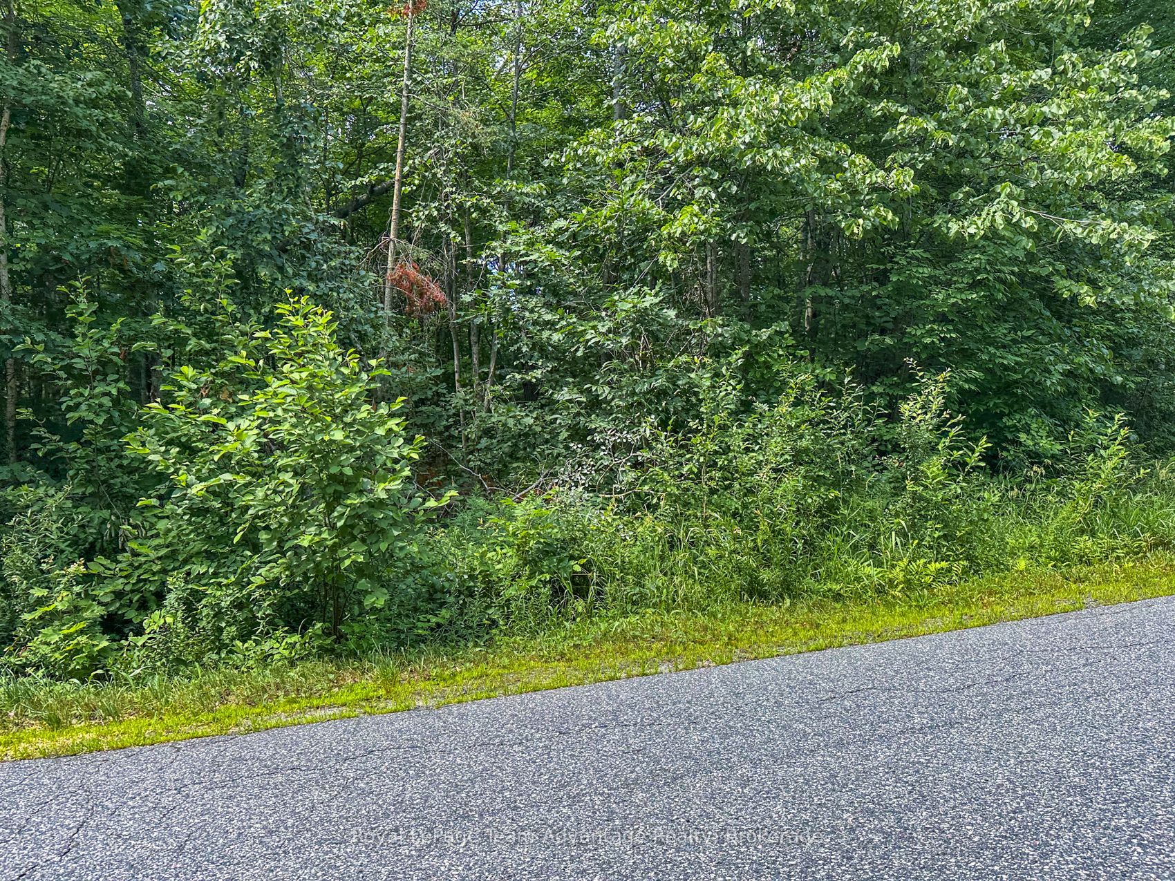 (Part 2) 25 Long Lake Estates Road, McDougall, ON P2A 2W7 photo 5