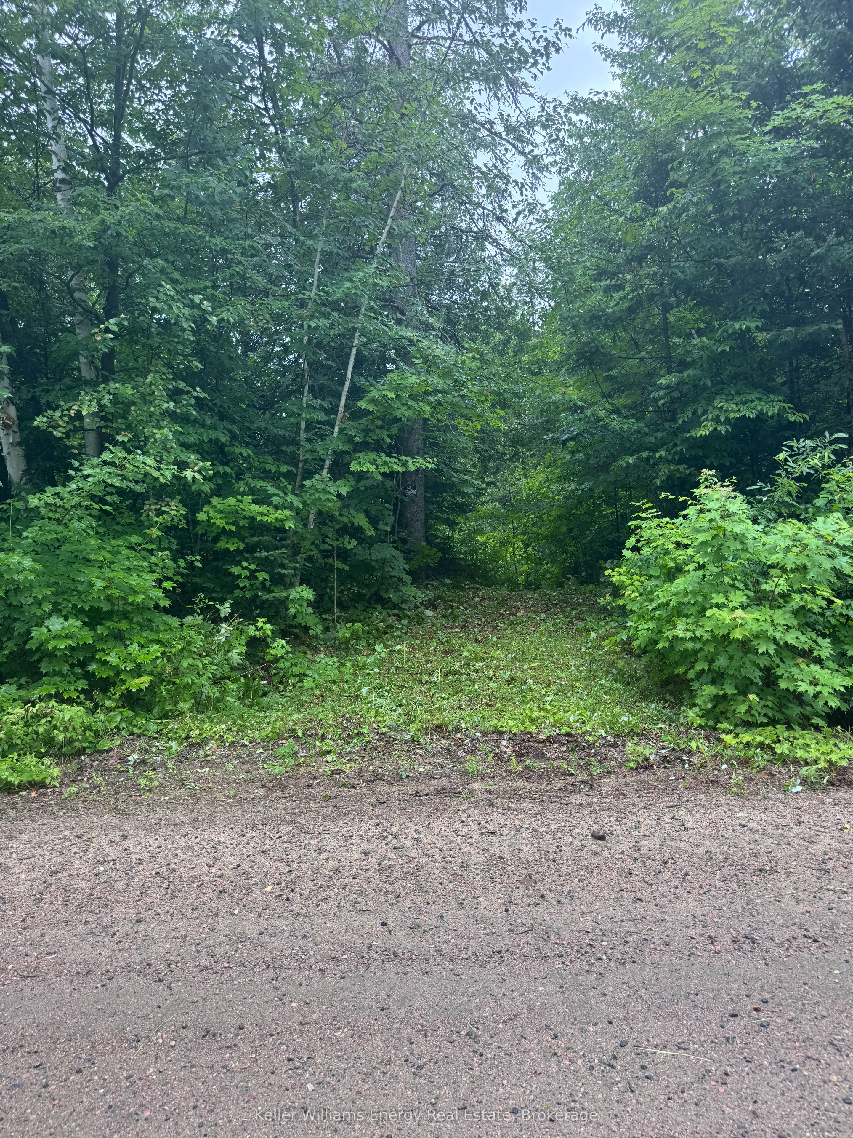N/A Cross Country Road, Hastings Highlands, ON K0L 1C0 photo 3