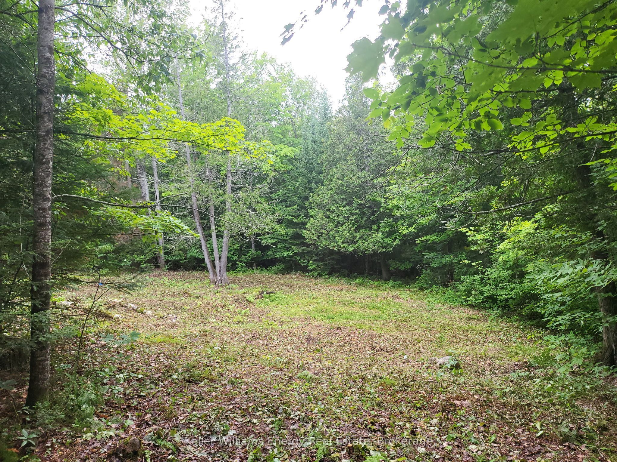 N/A Cross Country Road, Hastings Highlands, ON K0L 1C0 photo 4