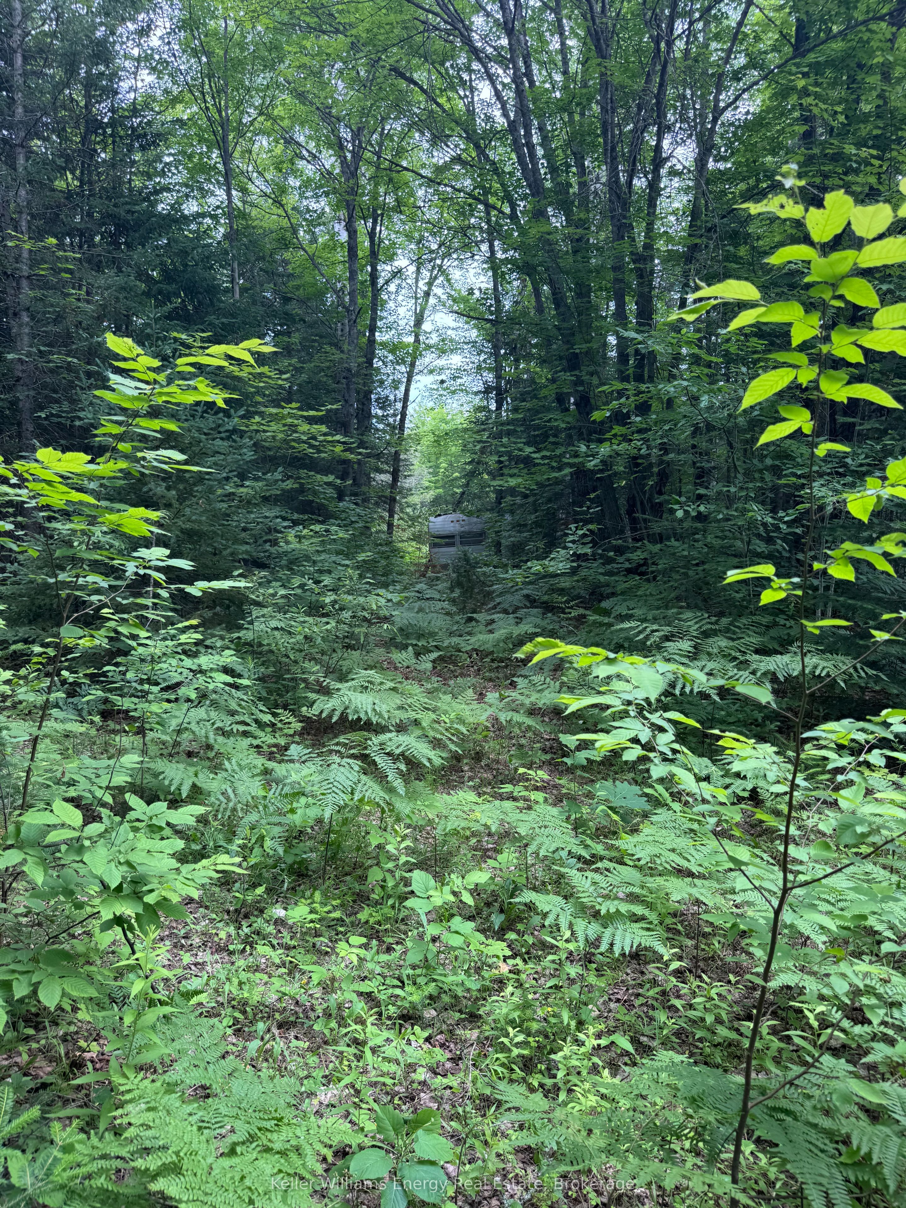 N/A Cross Country Road, Hastings Highlands, ON K0L 1C0 photo 5