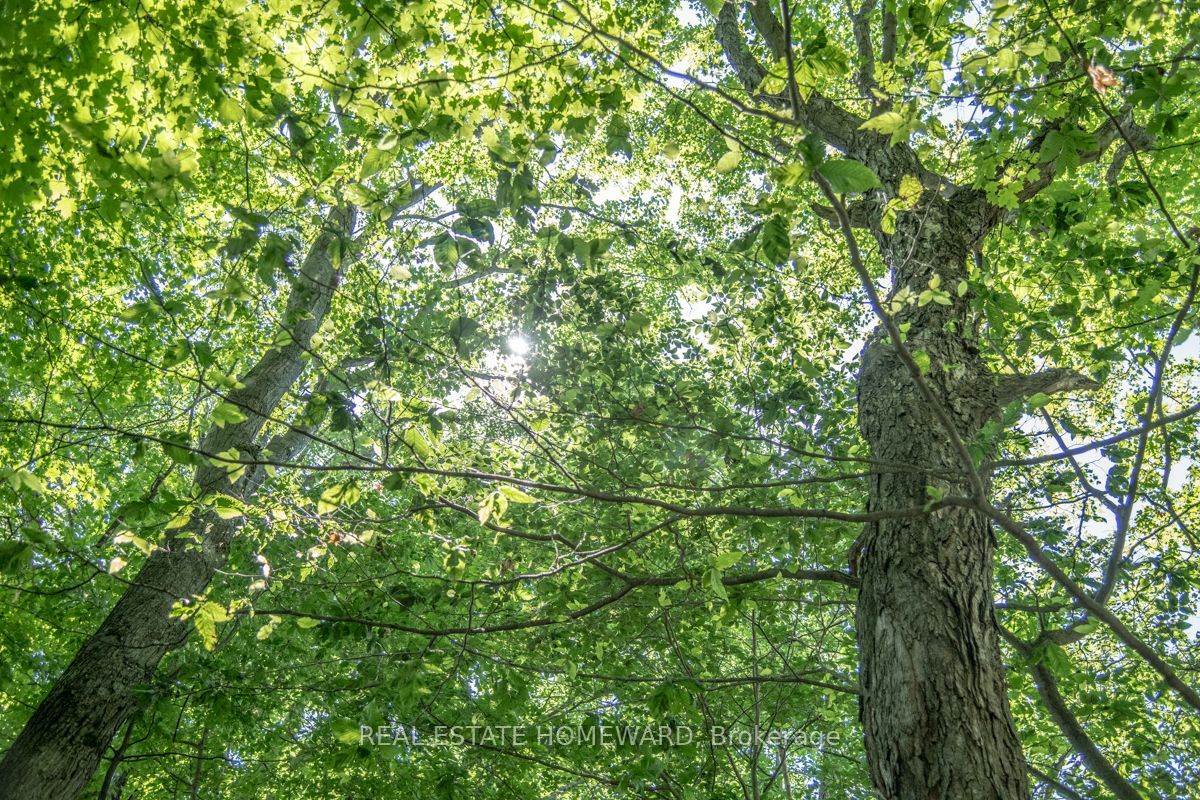 PT 1 Boyce Road, Alnwick/Haldimand, ON K0K 1S0 photo 3