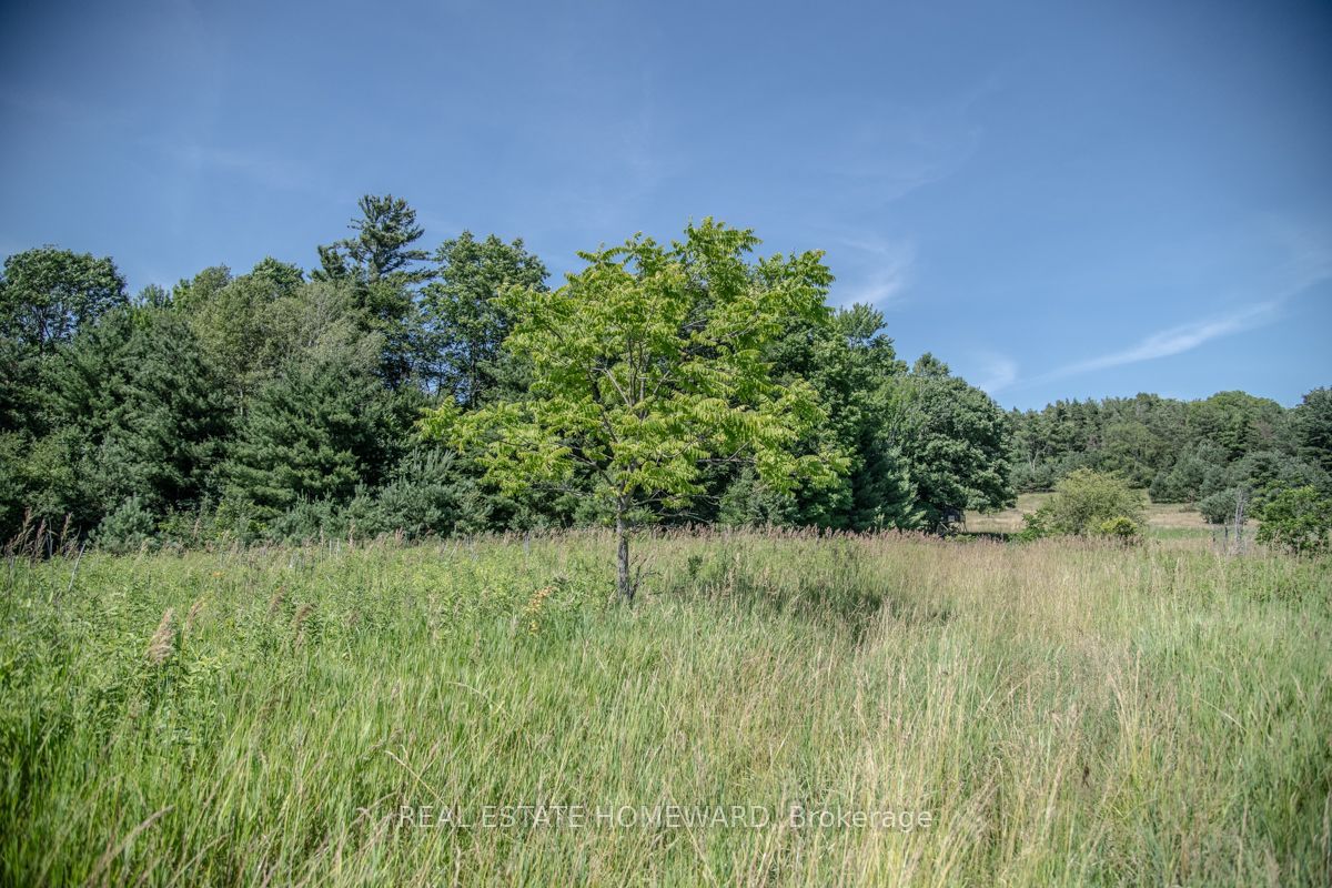 PT 1 Boyce Road, Alnwick/Haldimand, ON K0K 1S0 photo 4
