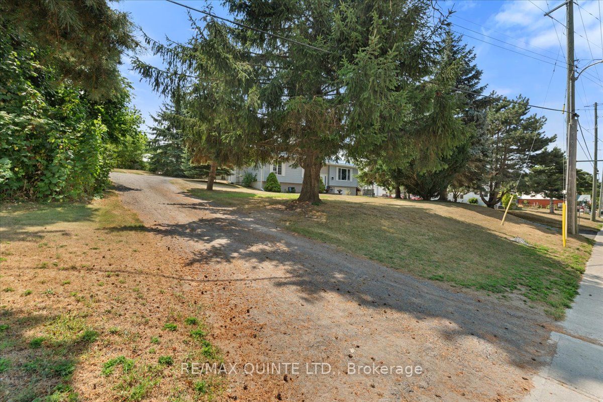 19 County Rd 18 Road, Prince Edward County, ON K0K 1P0 photo 3