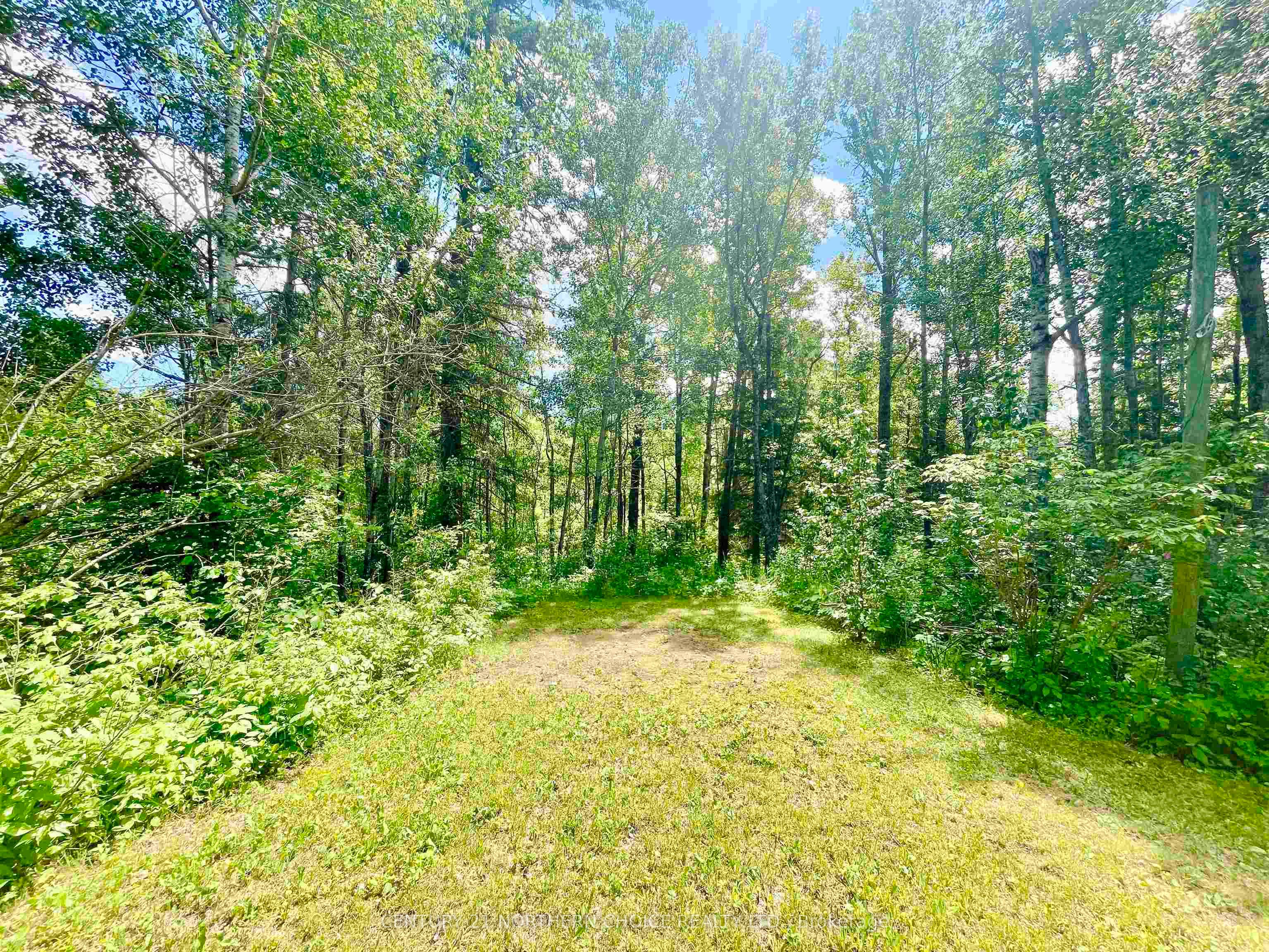 20 Falls Road, Kenora Remote Area, ON P0V 2W0 photo 2