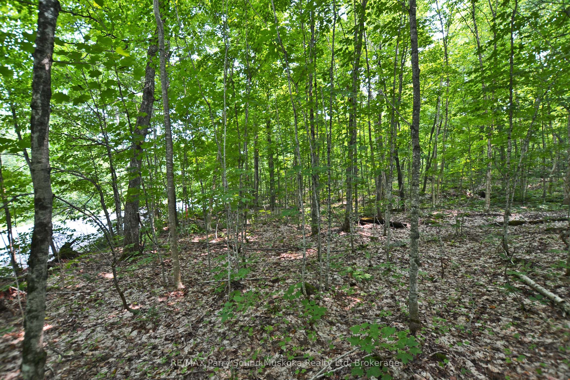 0 Lyndsey Lane Part 1, McKellar, ON P2A 0B5