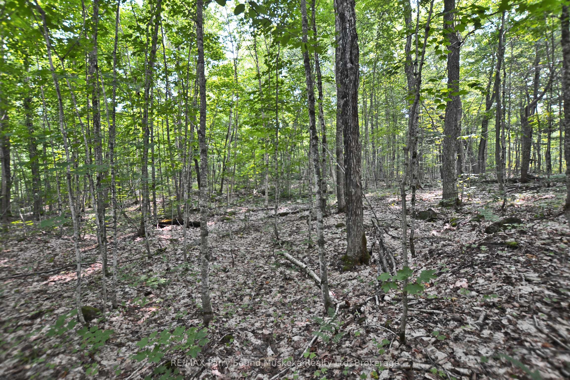 0 Lyndsey Lane Part 2, McKellar, ON P2A 0B5