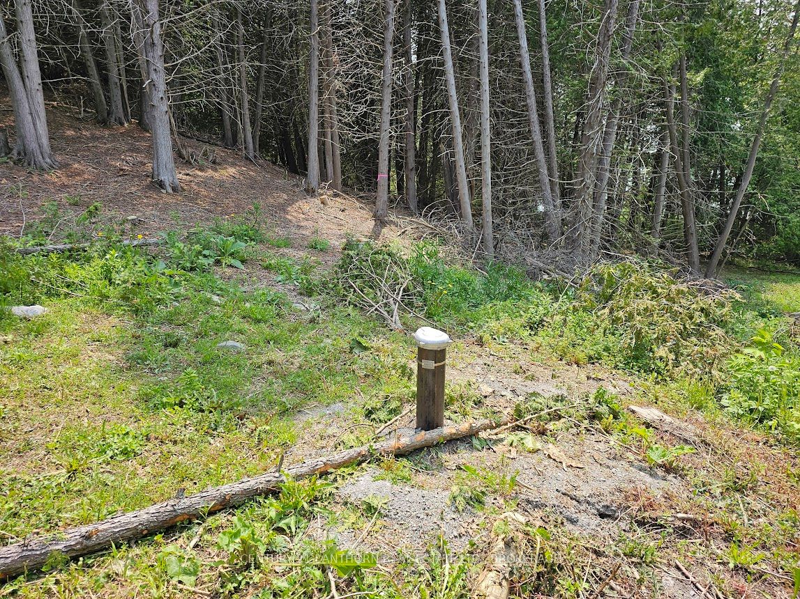 0000 Cedarstone Road W, Stone Mills, ON K0K 3G0 photo 4