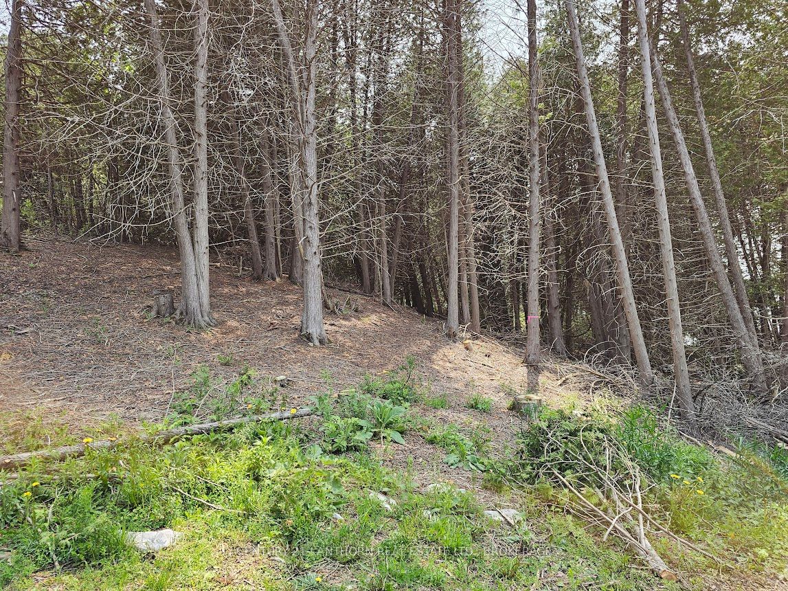 0000 Cedarstone Road W, Stone Mills, ON K0K 3G0 photo 5