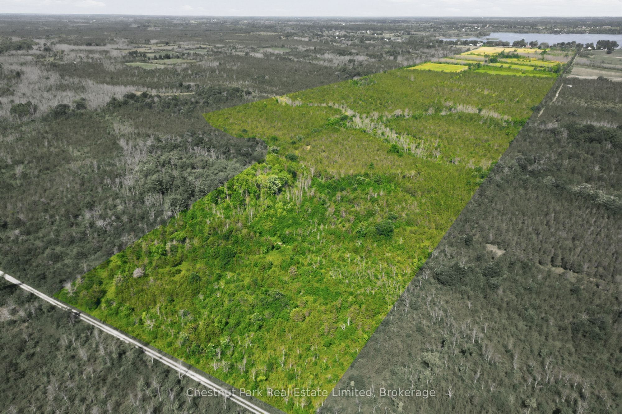 647 Helmer Road, Prince Edward County, ON K0K 2T0 photo 4