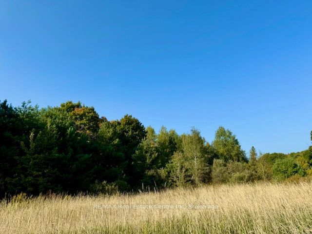 0 Hwy 35 Road, Kawartha Lakes, ON K0M 1X0