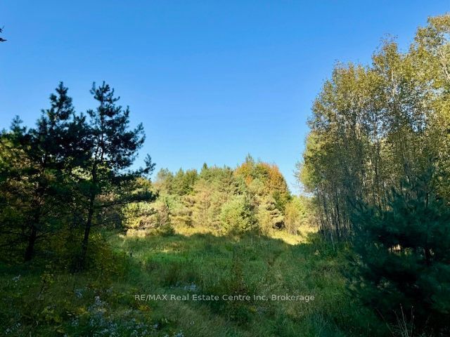 0 Hwy 35 Road, Kawartha Lakes, ON K0M 1X0 photo 2