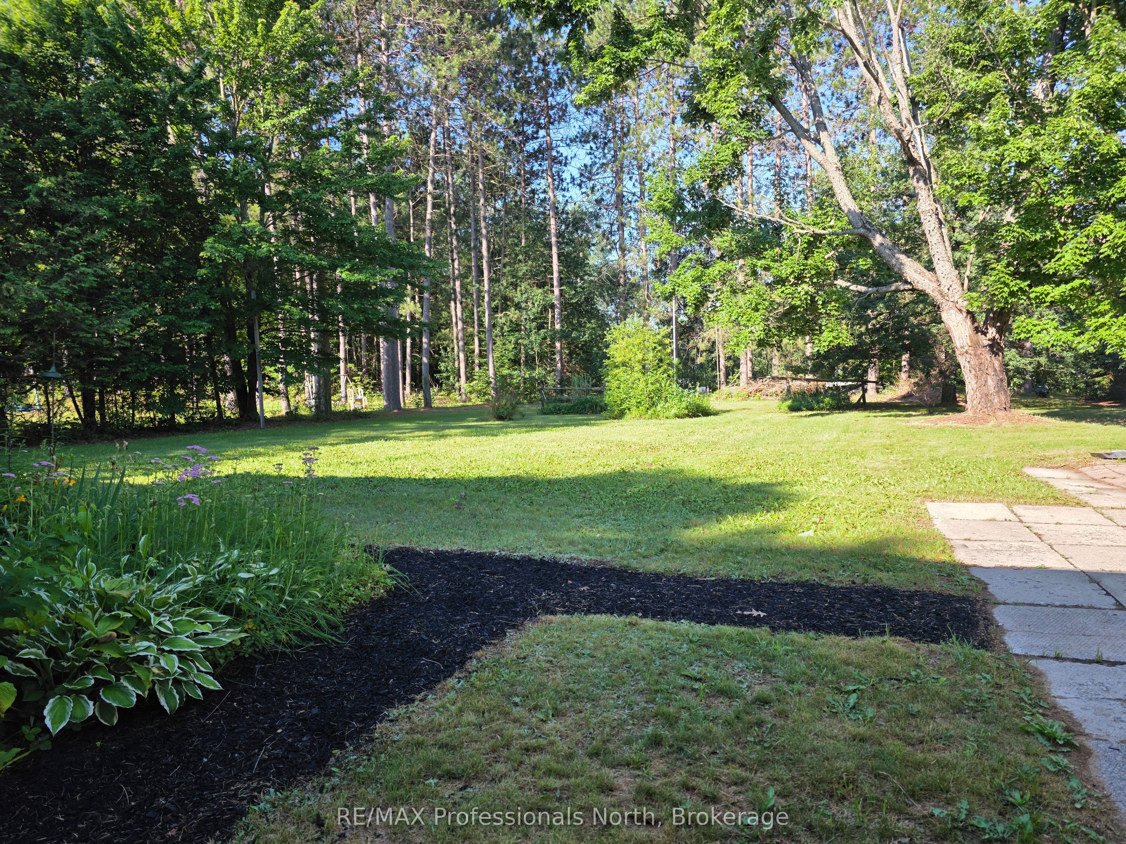 1024 Lutterworth Pines Road, Minden Hills, ON K0M 2K0 photo 4