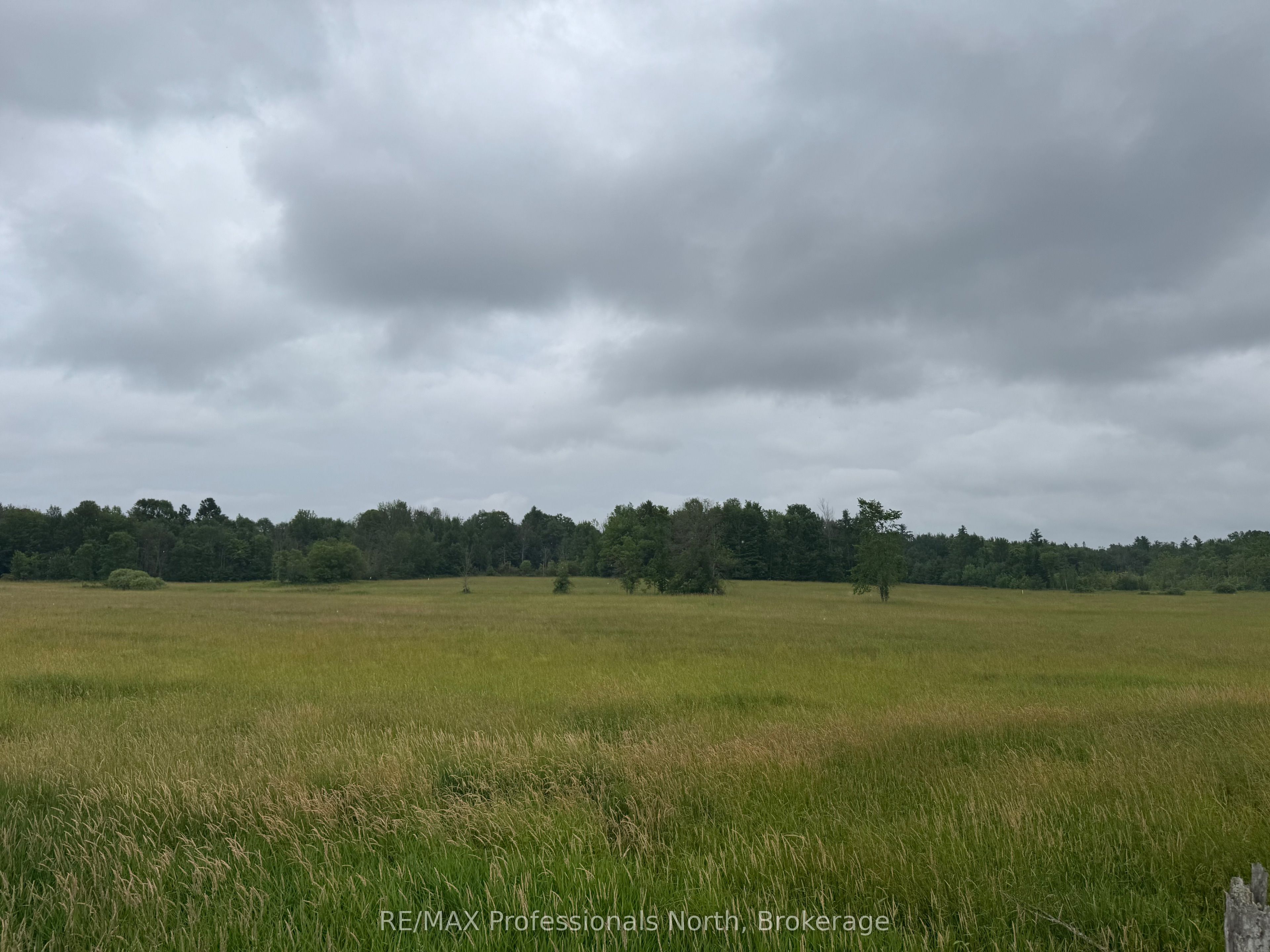 1509 Kilworthy Road, Gravenhurst, ON P0E 1G0 photo 2