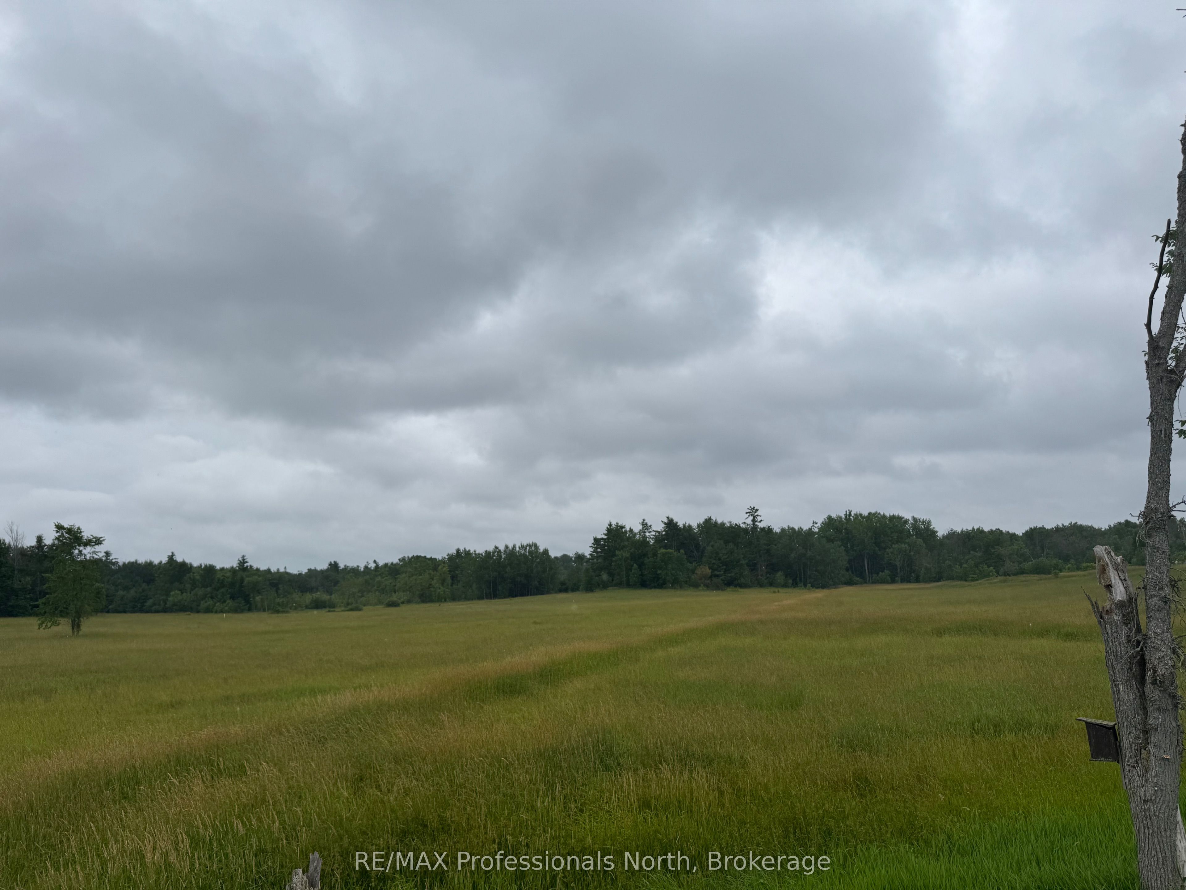 1509 Kilworthy Road, Gravenhurst, ON P0E 1G0 photo 3