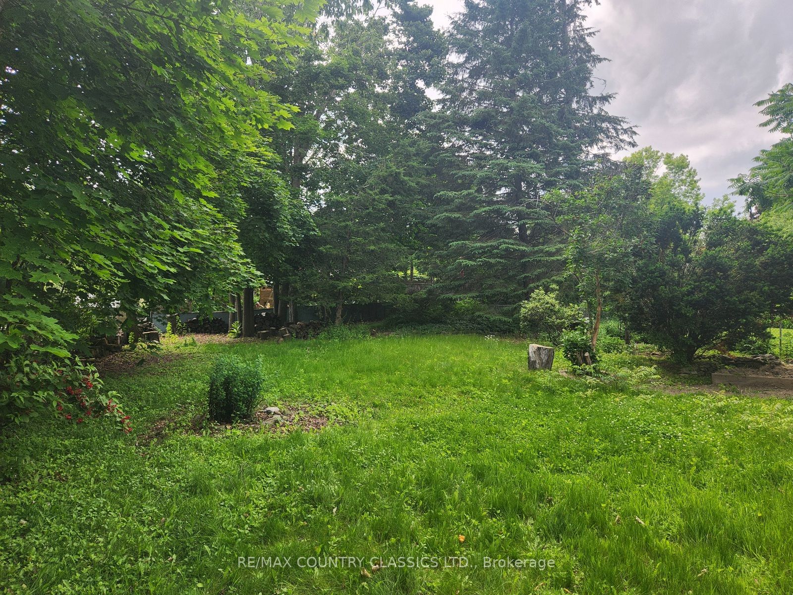 7 Beechwood Drive Lower, Peterborough, ON K9J 1M2 photo 2