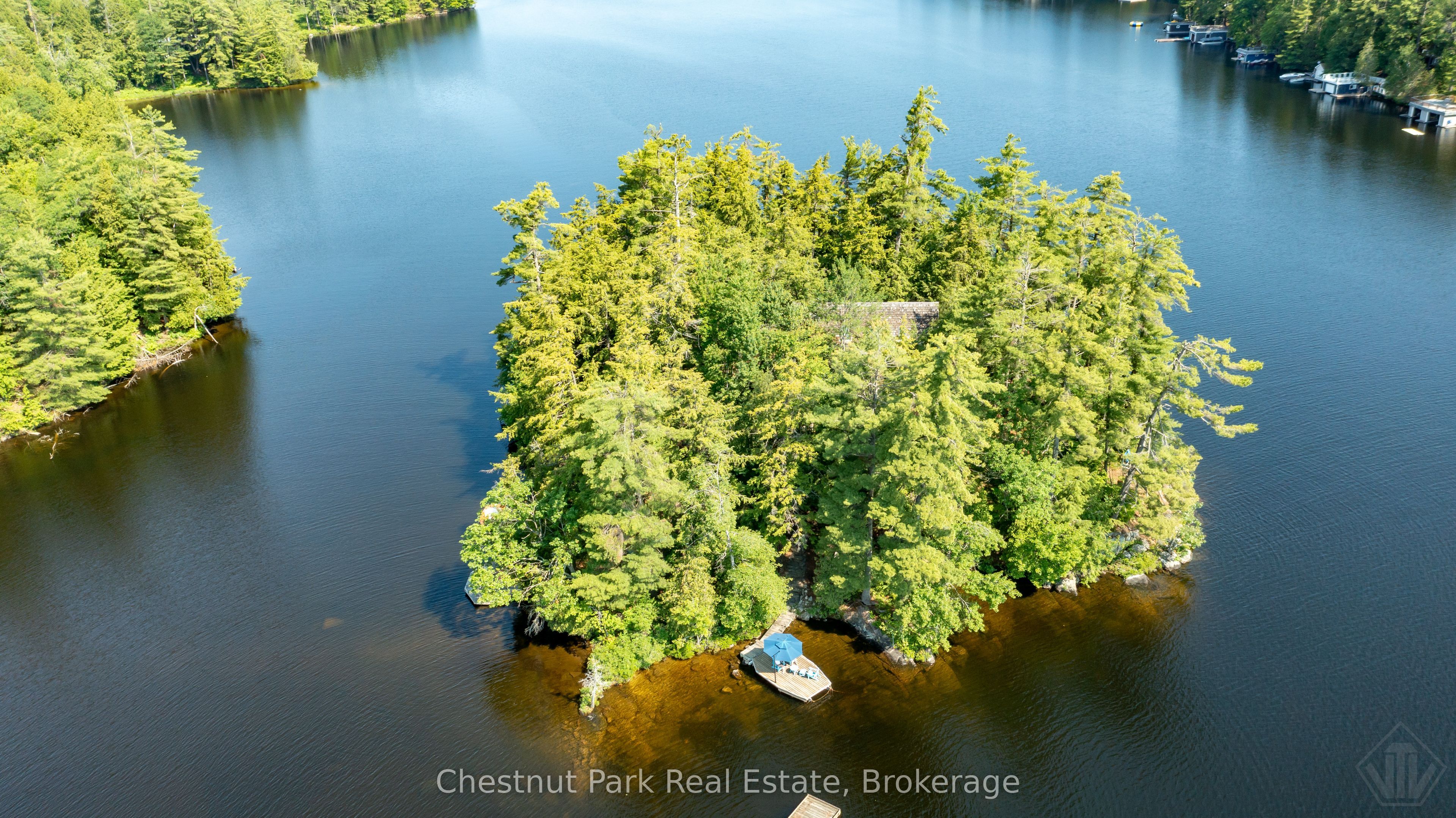 1 Merlin (Island M91) Island, Muskoka Lakes, ON P1P 1R2