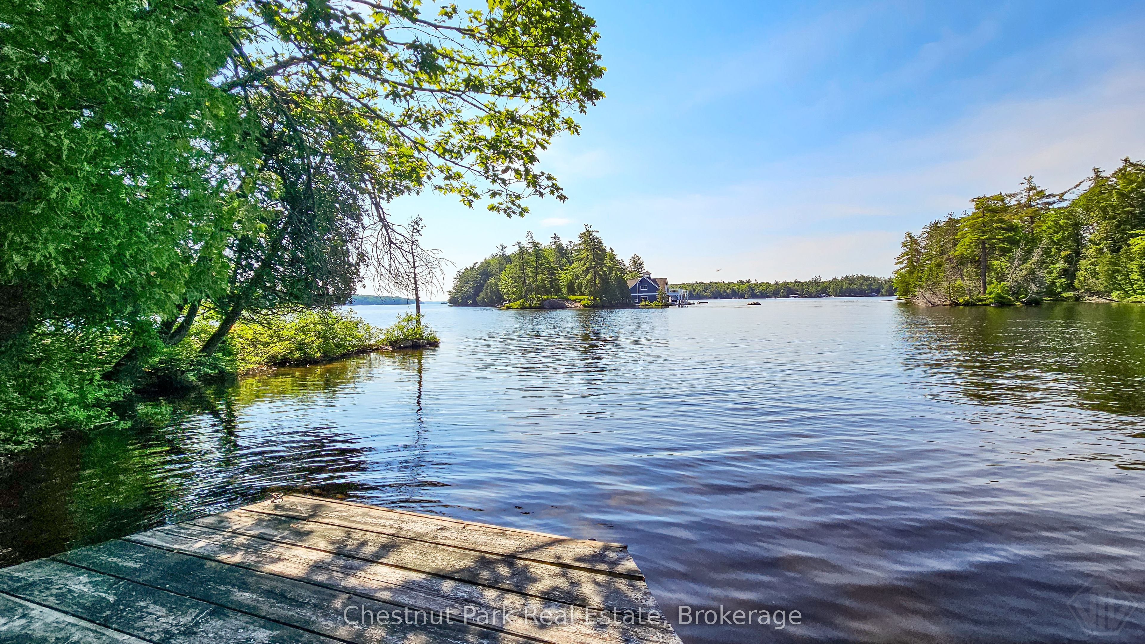 1 Merlin (Island M91) Island, Muskoka Lakes, ON P1P 1R2 photo 5