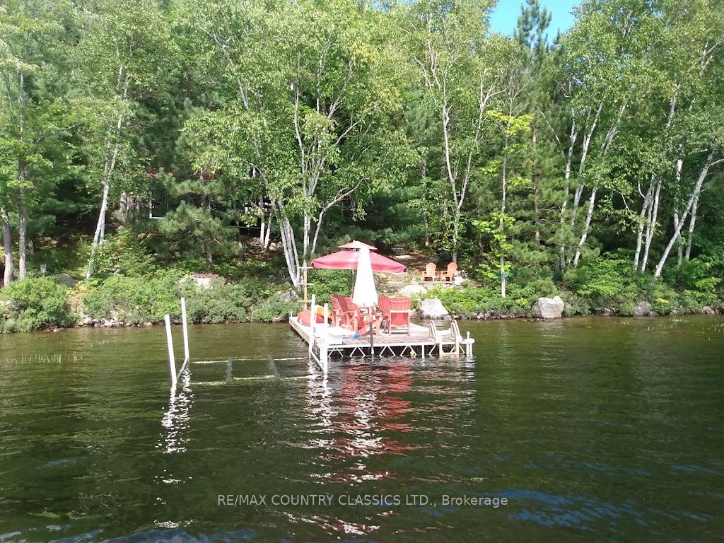 2378 Papineau Lake Road, Hastings Highlands, ON K0J 2S0 photo 2