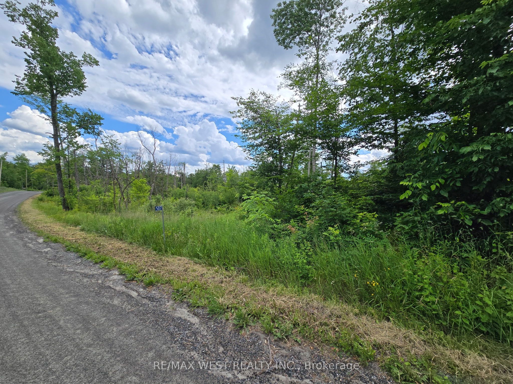 507 Black River Road, Tweed, ON K0K 3J0 photo 2