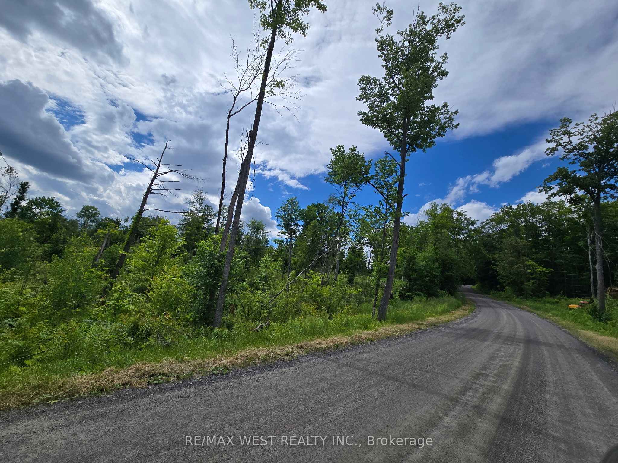 507 Black River Road, Tweed, ON K0K 3J0 photo 3