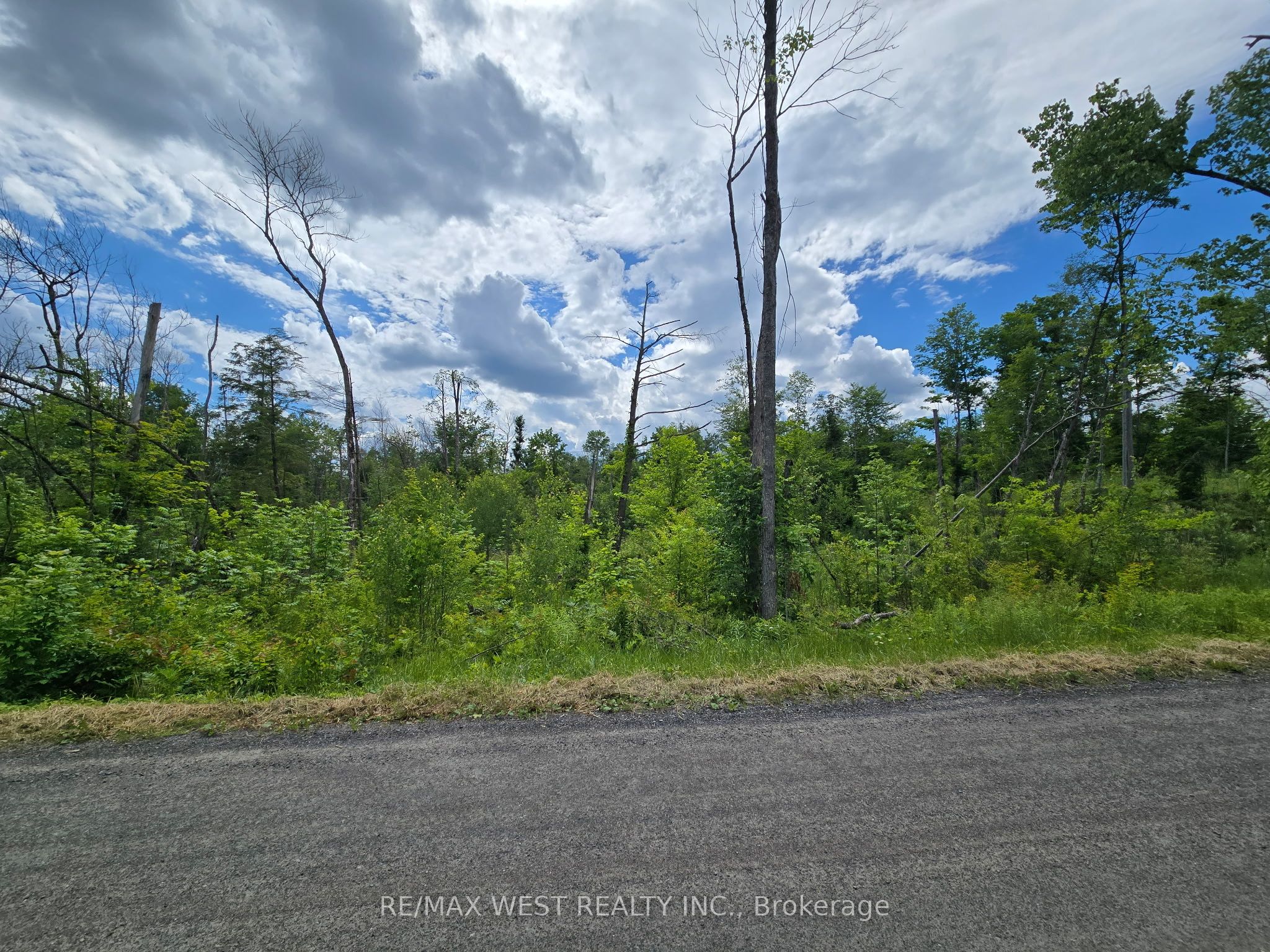 507 Black River Road, Tweed, ON K0K 3J0 photo 5