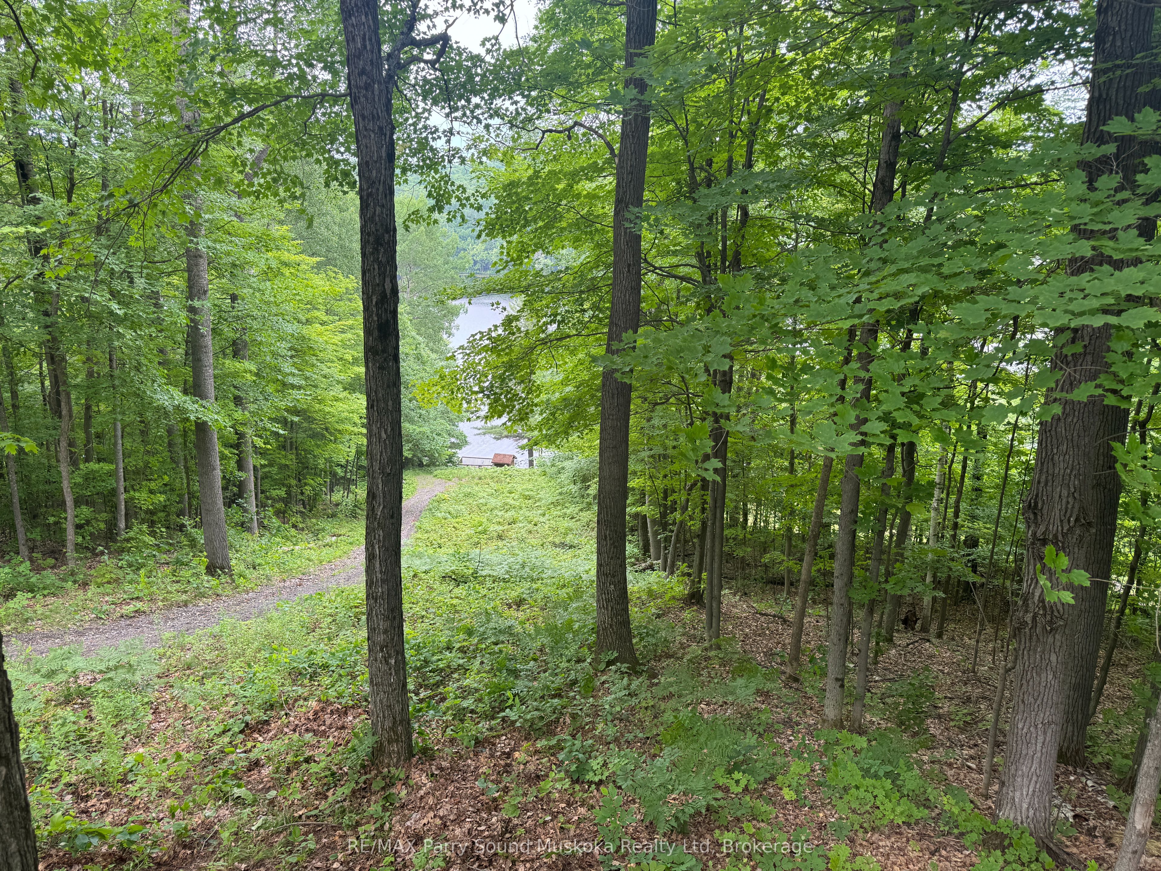 1117 Limberlost Point Road, Parry Sound Remote Area, ON P0H 2R0 photo 5