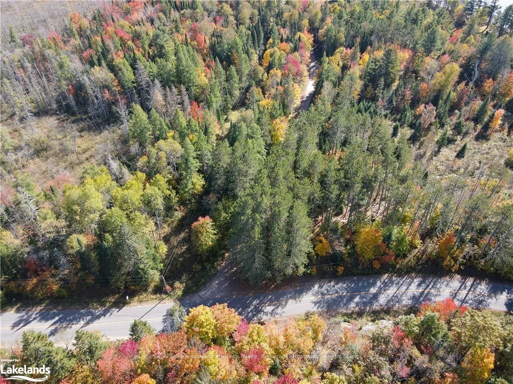 0 HWY 518 W, McMurrich/Monteith, ON P0A 1Y0 photo 4