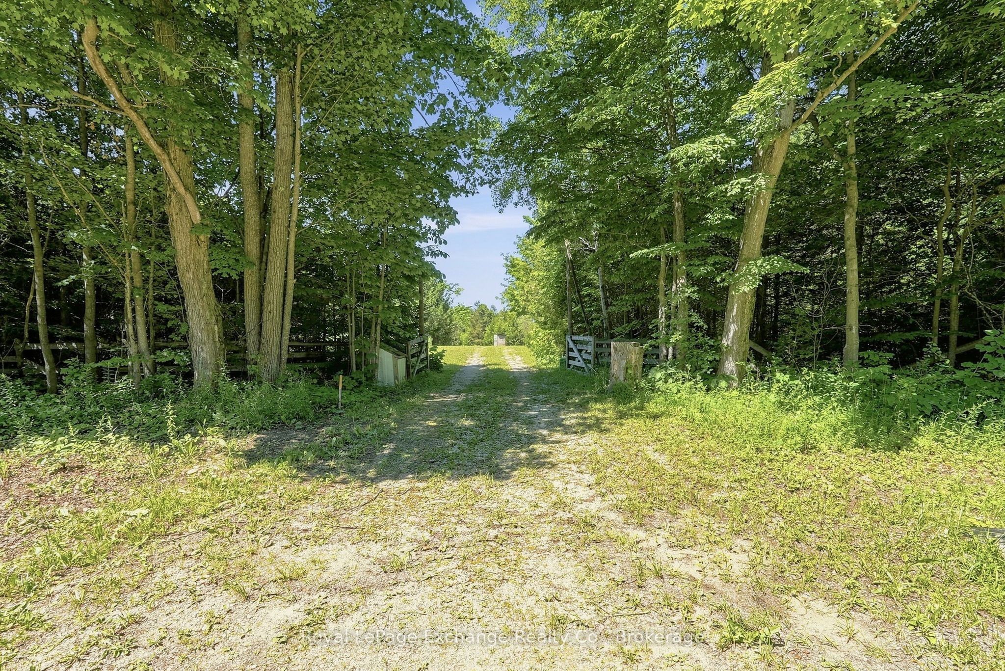 495144 Traverston Road, West Grey, ON N0C 1H0 photo 3