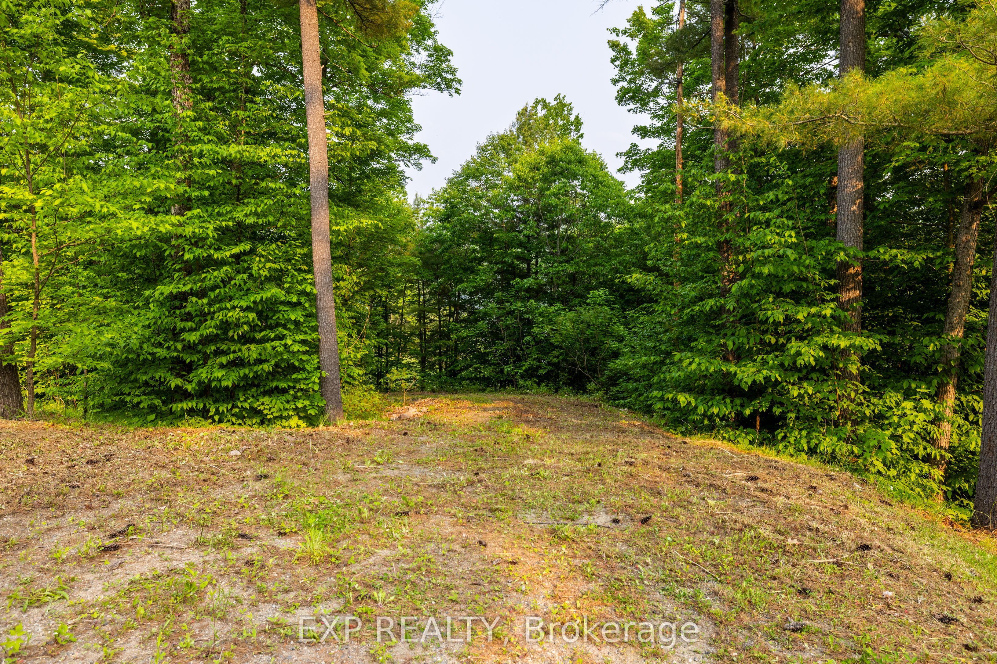 1225 Barrett Chute Road, Greater Madawaska, ON K0J 1H0 photo 5