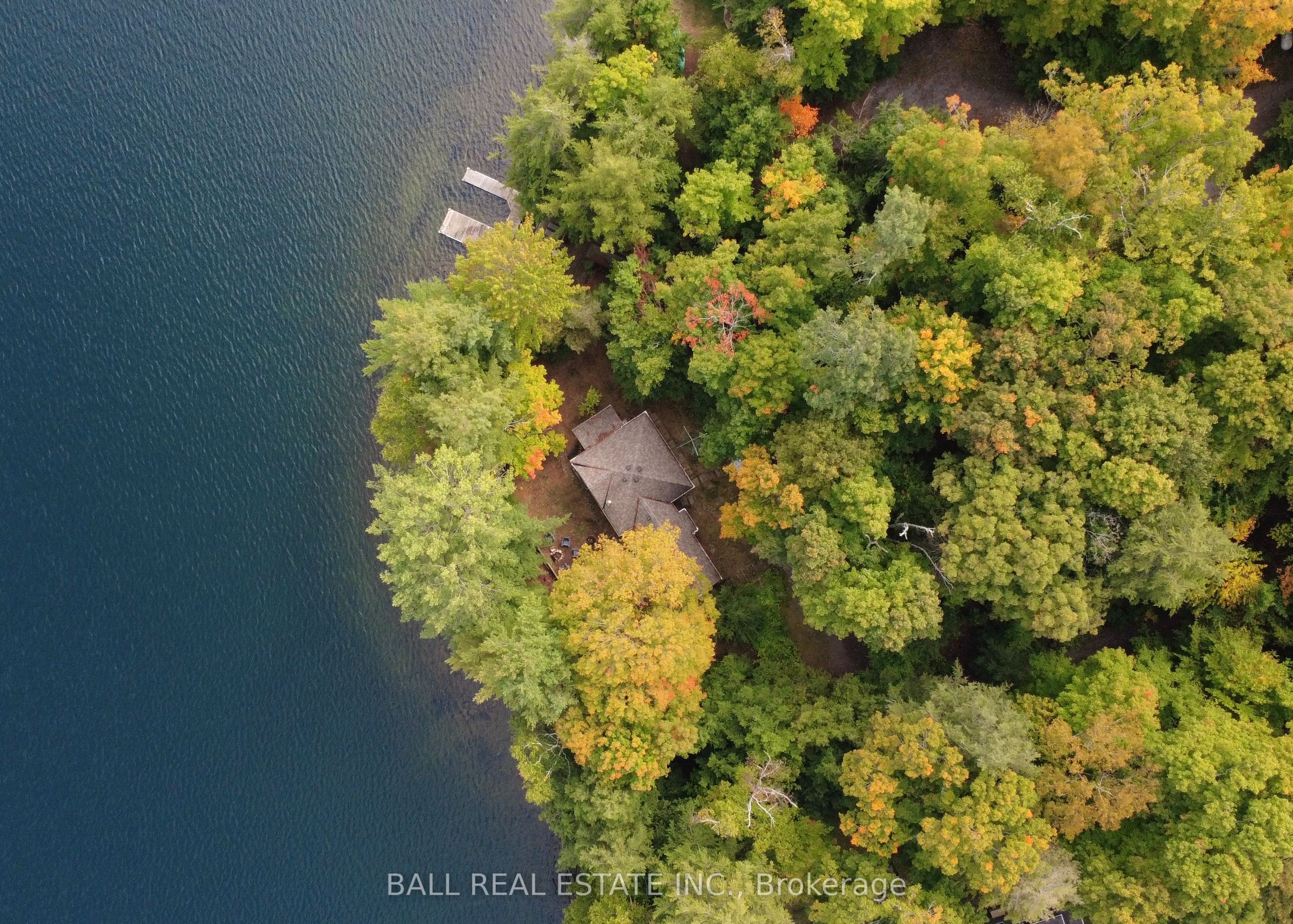 551 Renwick Road, North Kawartha, ON K0L 1A0 photo 2