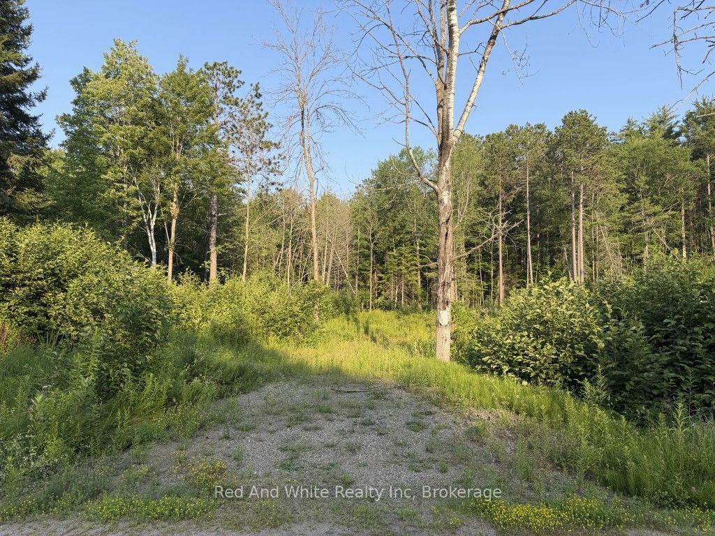 41 Mintha Street, Madawaska Valley, ON K0J 1B0 photo 2