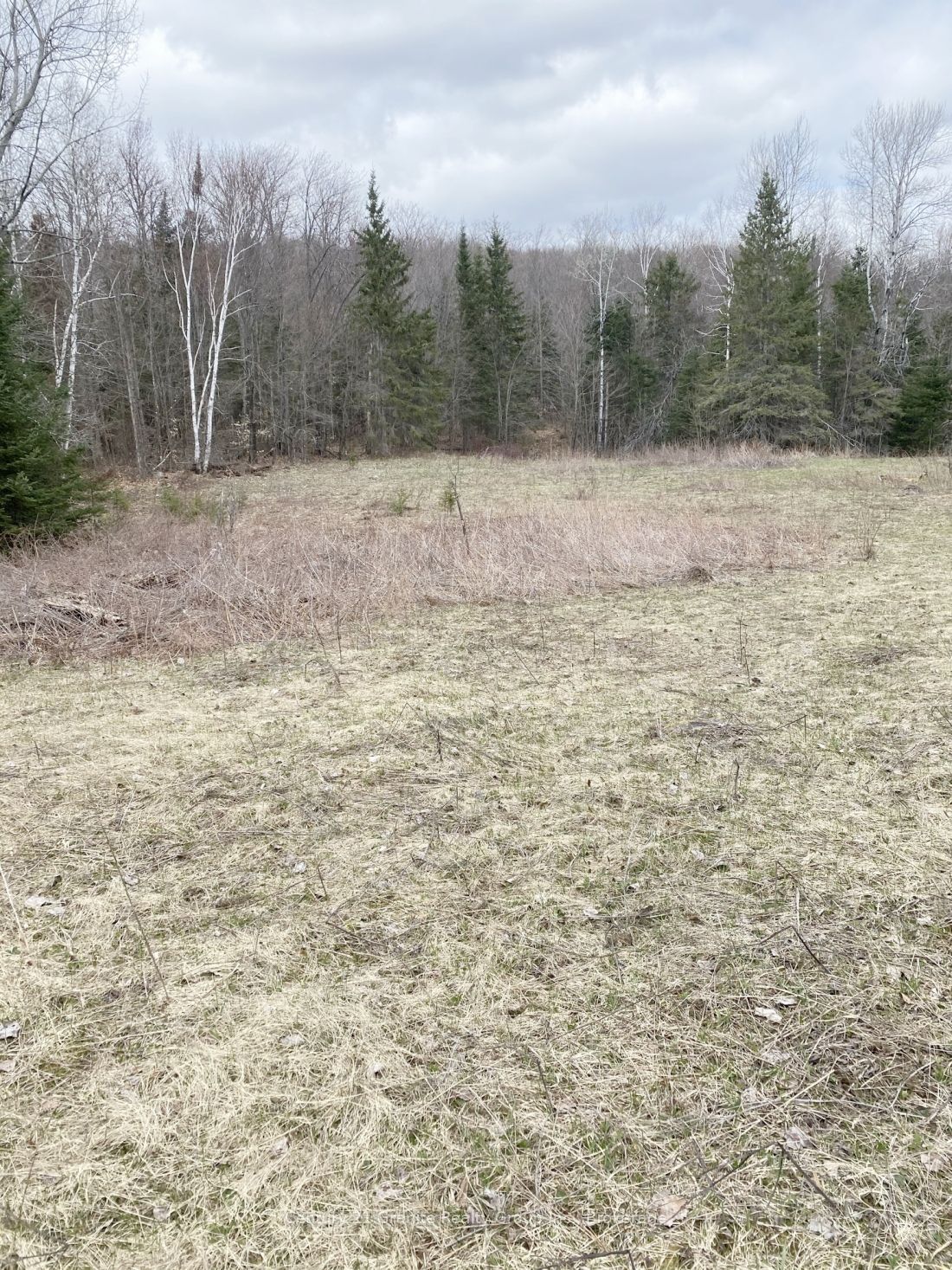 2057 MADAWASKA Road, Hastings Highlands, ON K0L 2S0 photo 4