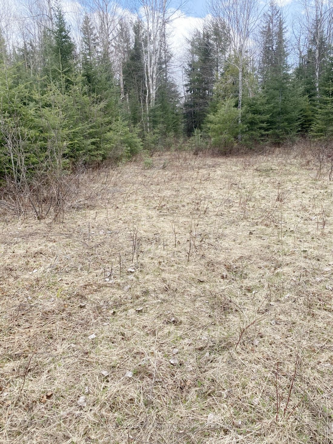 2057 MADAWASKA Road, Hastings Highlands, ON K0L 2S0 photo 5