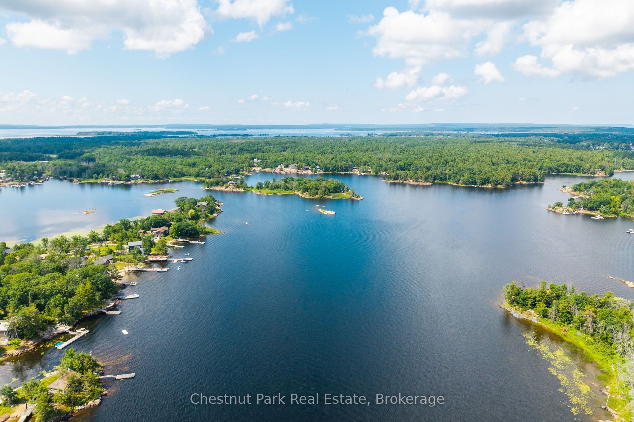 300 Birch Acres Drive, Georgian Bay, ON P0E 1E0 photo 3