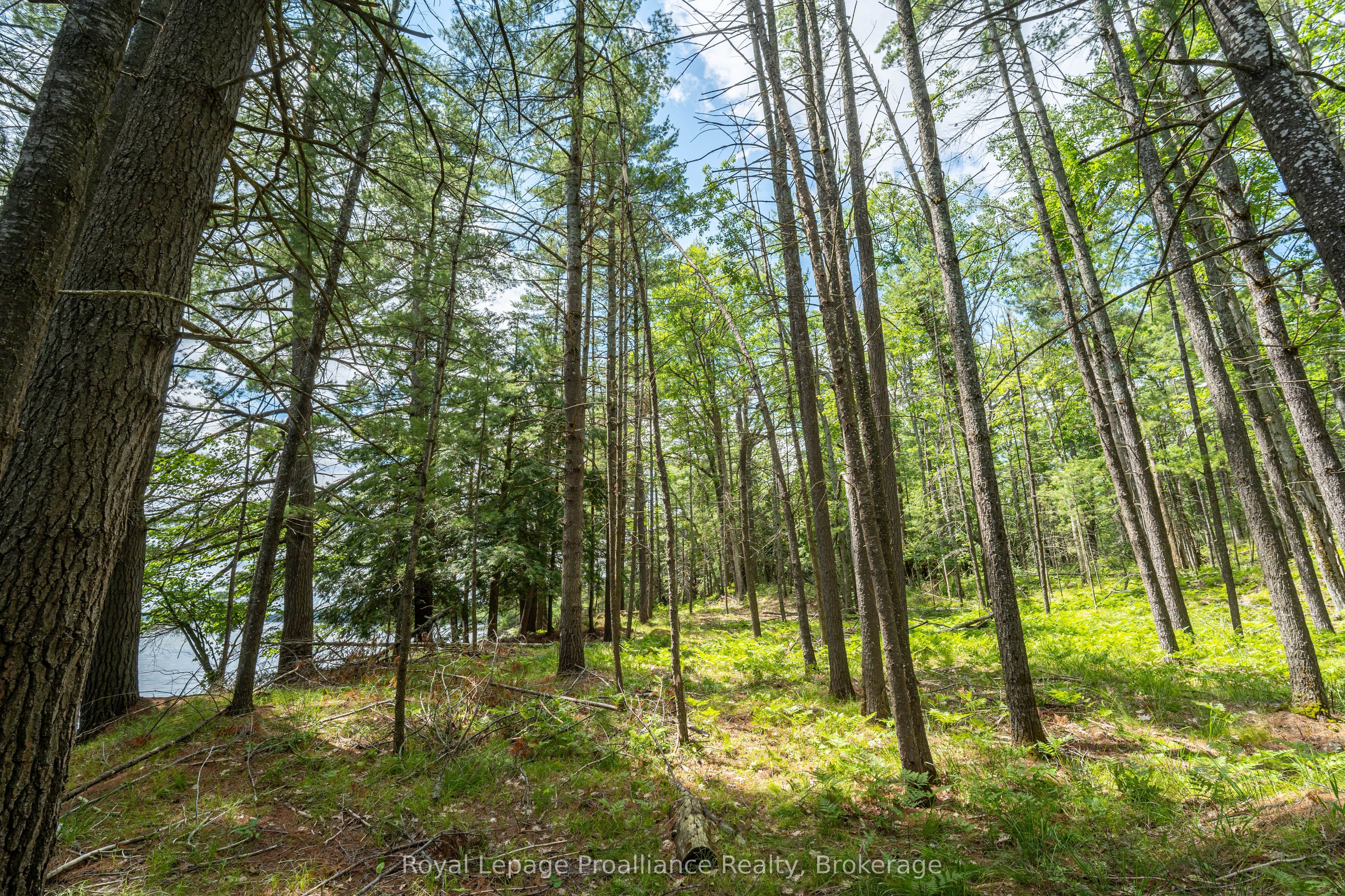3 WAO Kasshabog Lake N/A, Havelock-Belmont-Methuen, ON K0L 2H0 photo 5