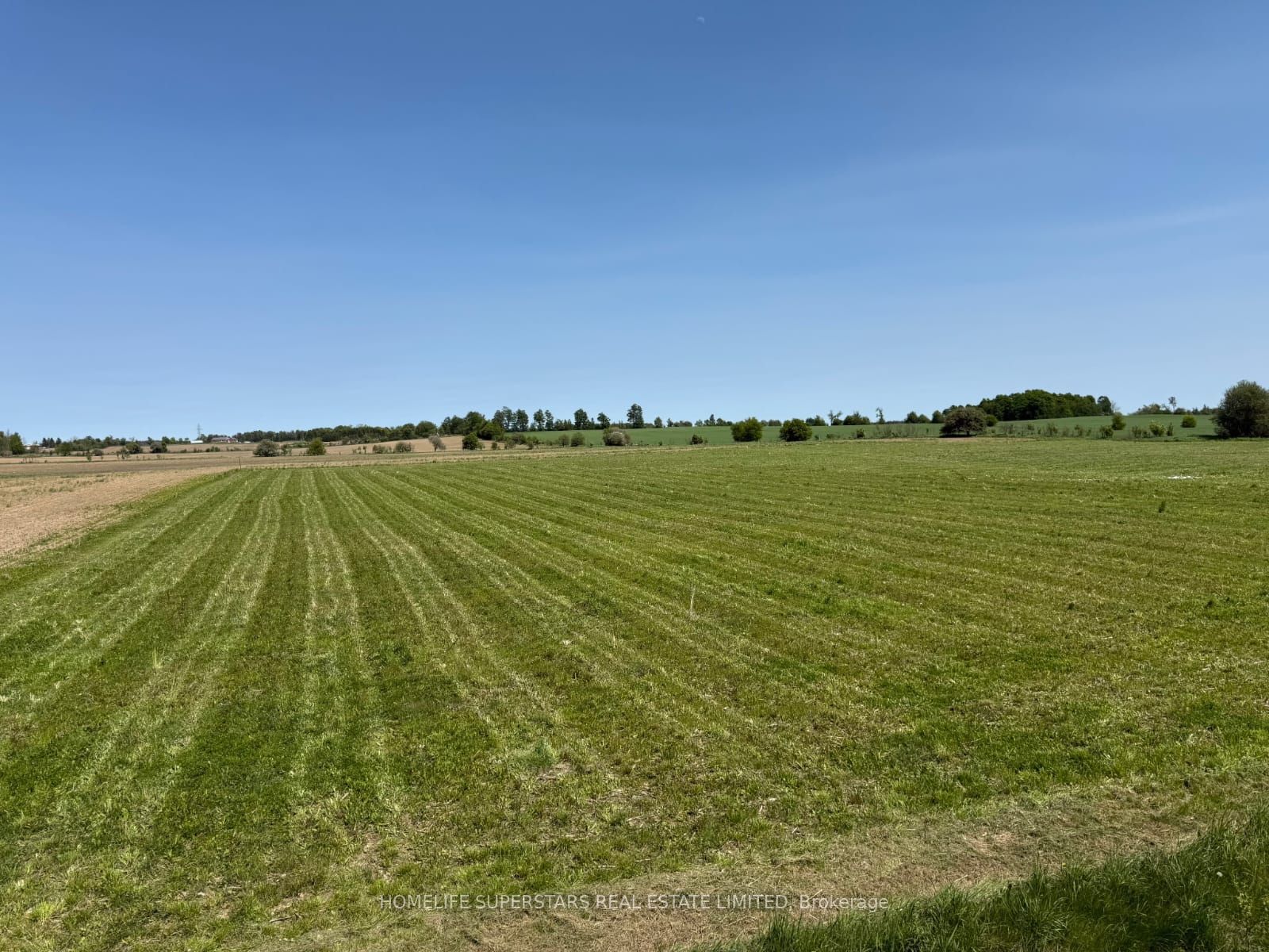 214131 10th Line, Amaranth, ON L9V 1K1 photo 3