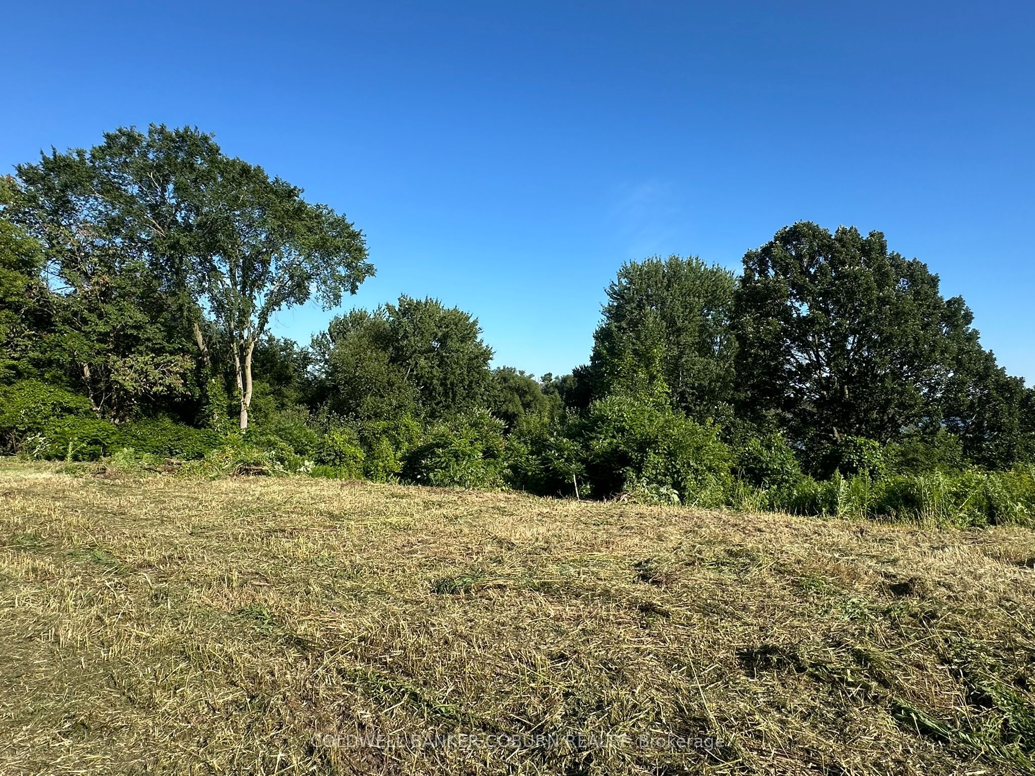 00 County Road 2 Road, Edwardsburgh/Cardinal, ON K0E 1E0 photo 3